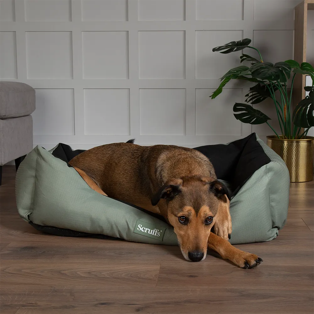 Scruffs Expedition Box Bed - Image 8