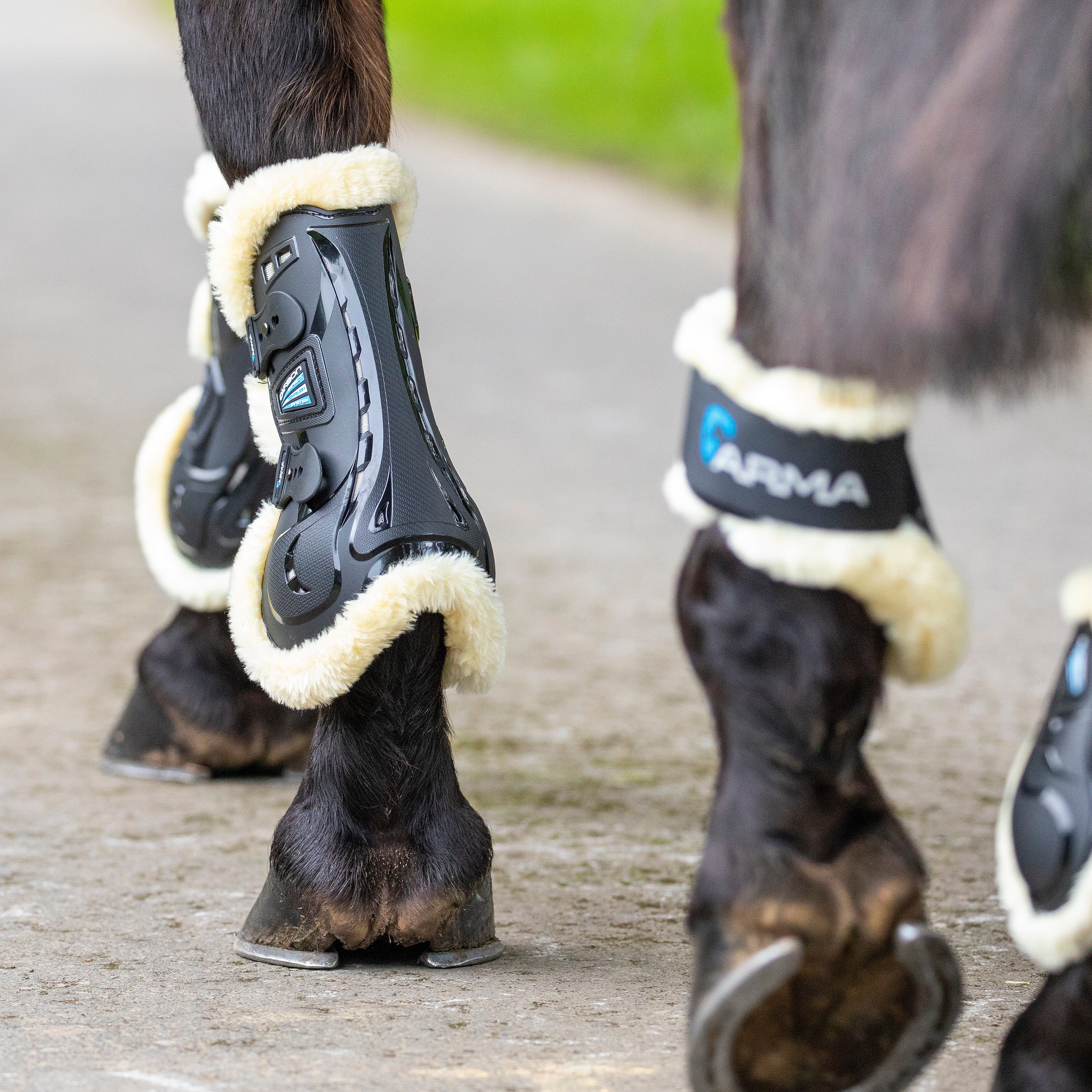 Shires ARMA Carbon SupaFleece Tendon Boots - Image 14