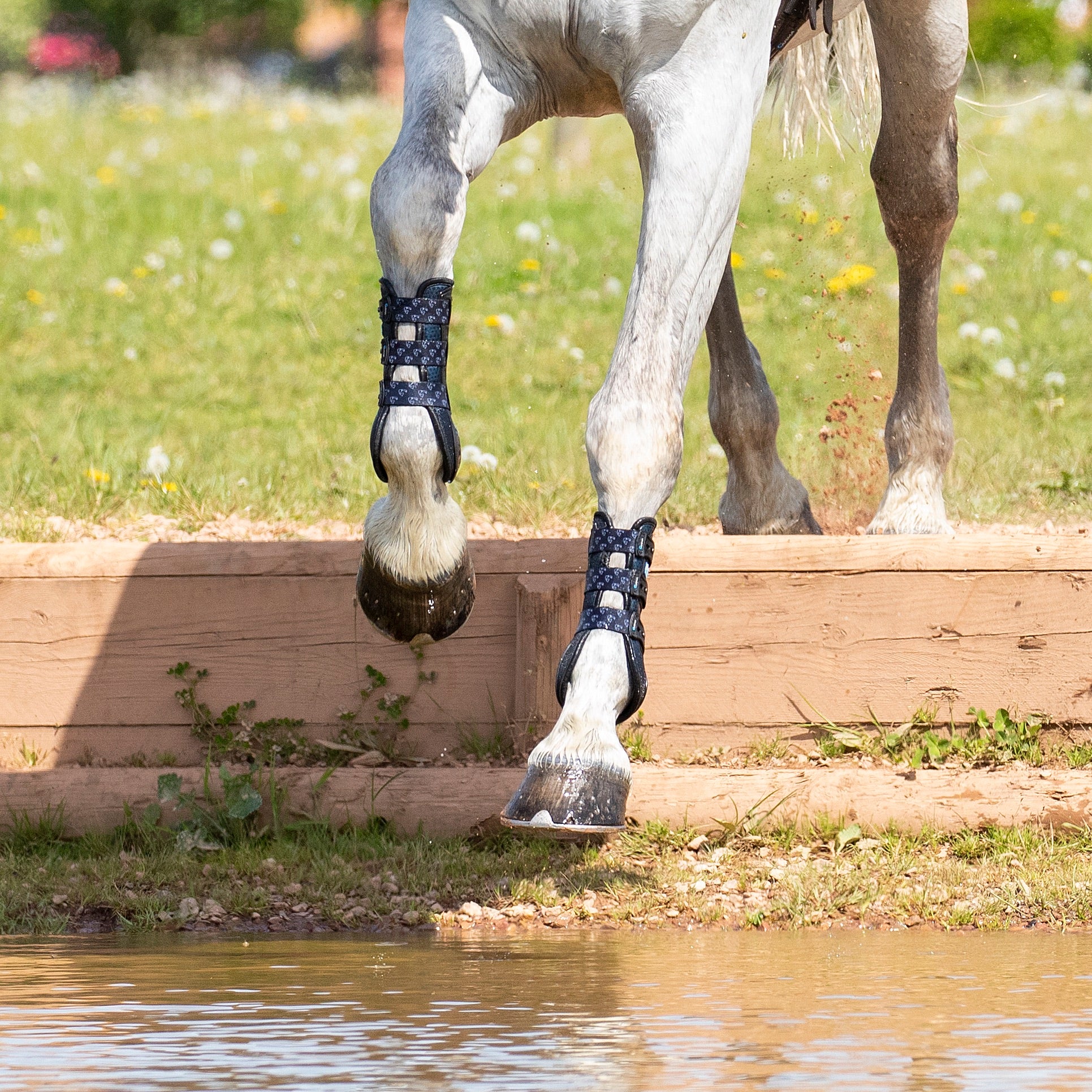 Shires ARMA Carbon Training Boots - Image 10