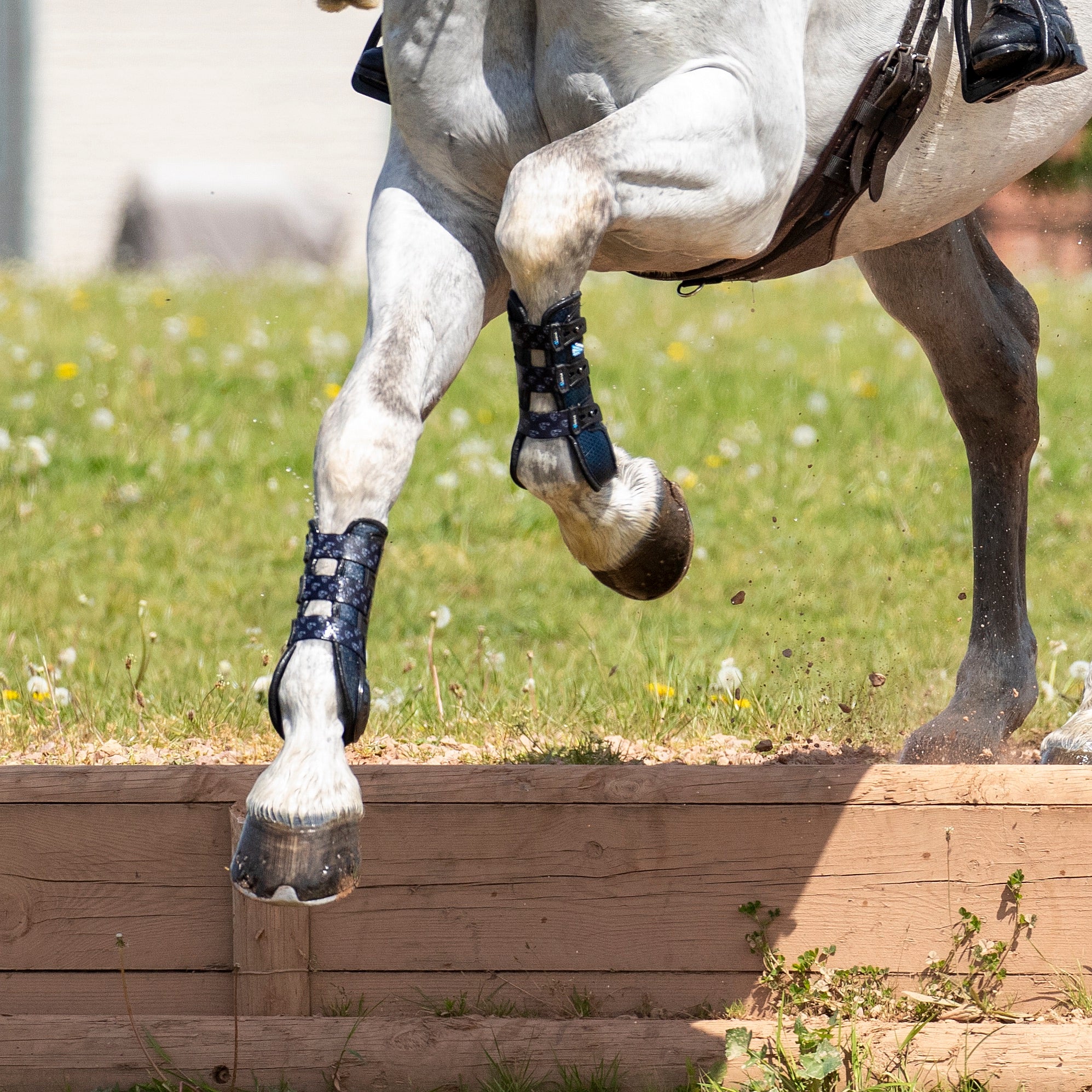 Shires ARMA Carbon Training Boots - Image 11