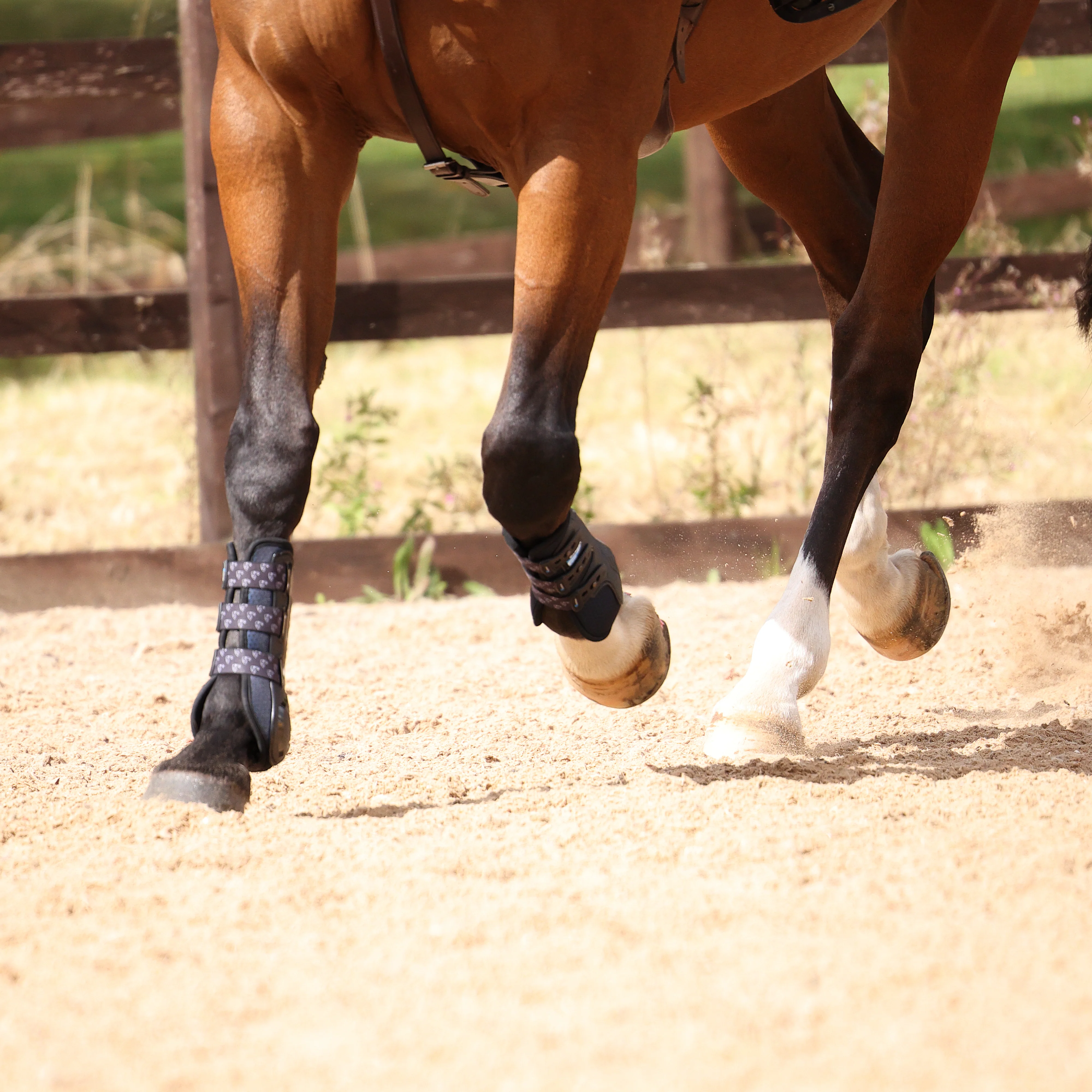 Shires ARMA Carbon Training Boots - Image 14