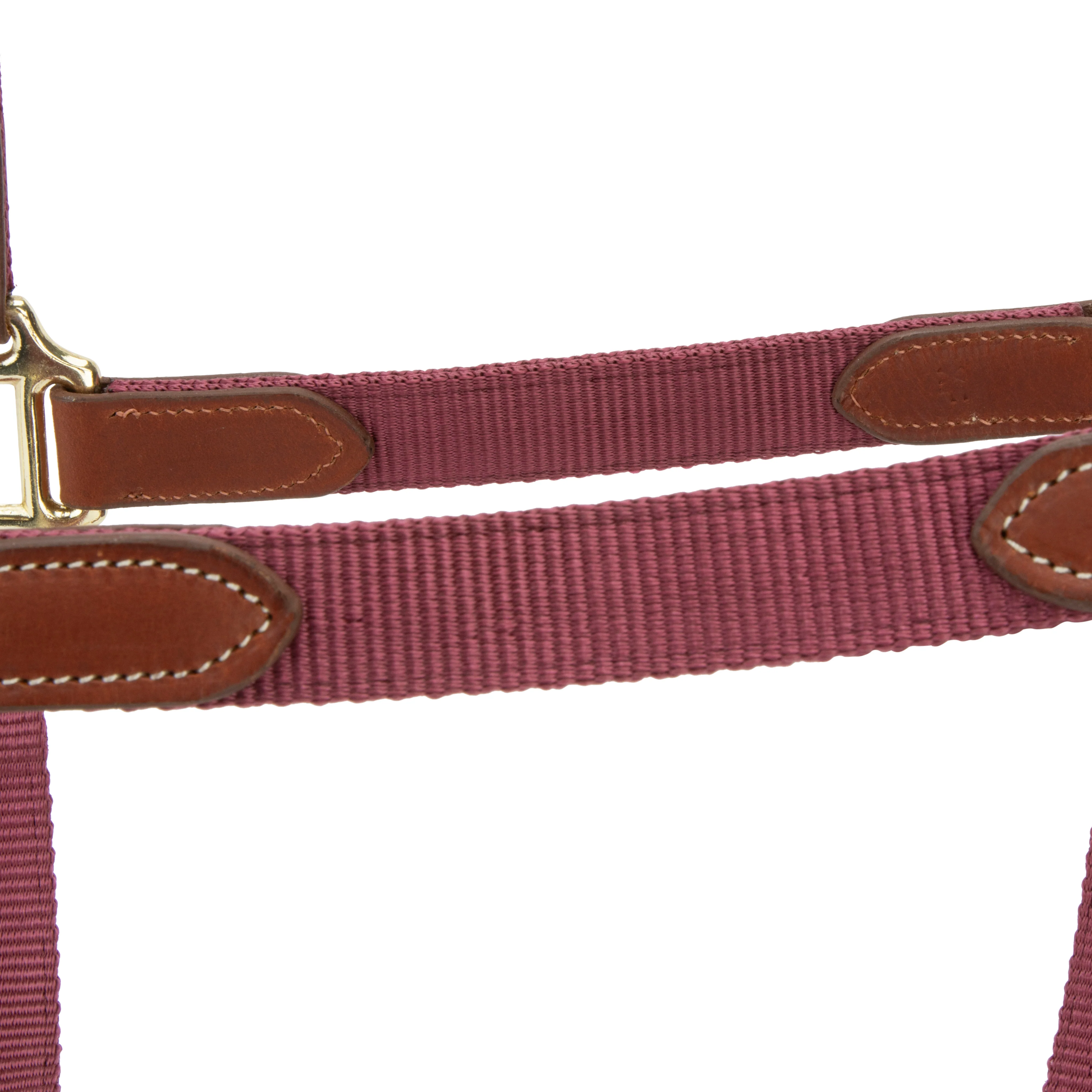 Shires ARMA Porto Headcollar - Image 14