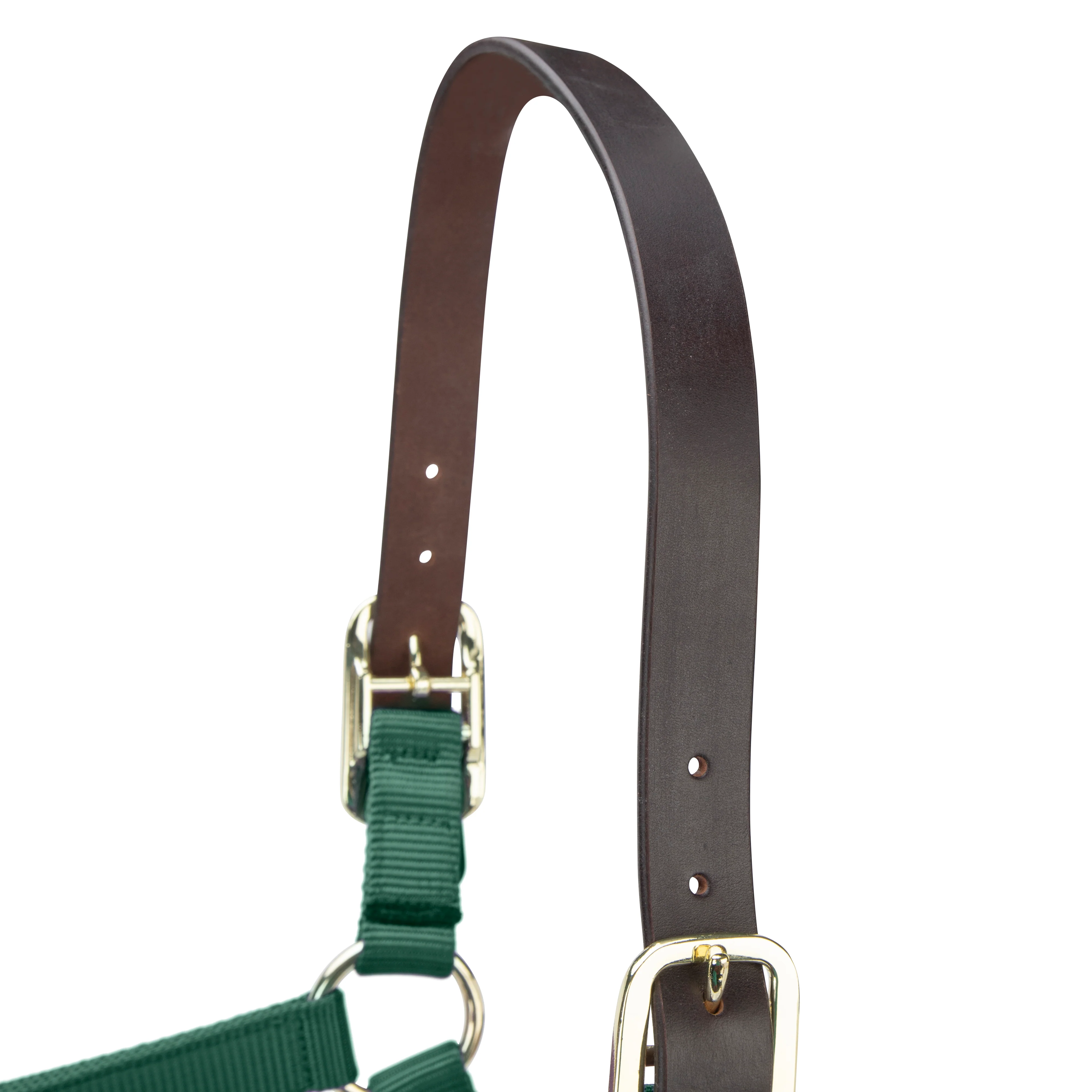 Shires ARMA Premium Adjustable FieldSafe Headcollar - Image 16