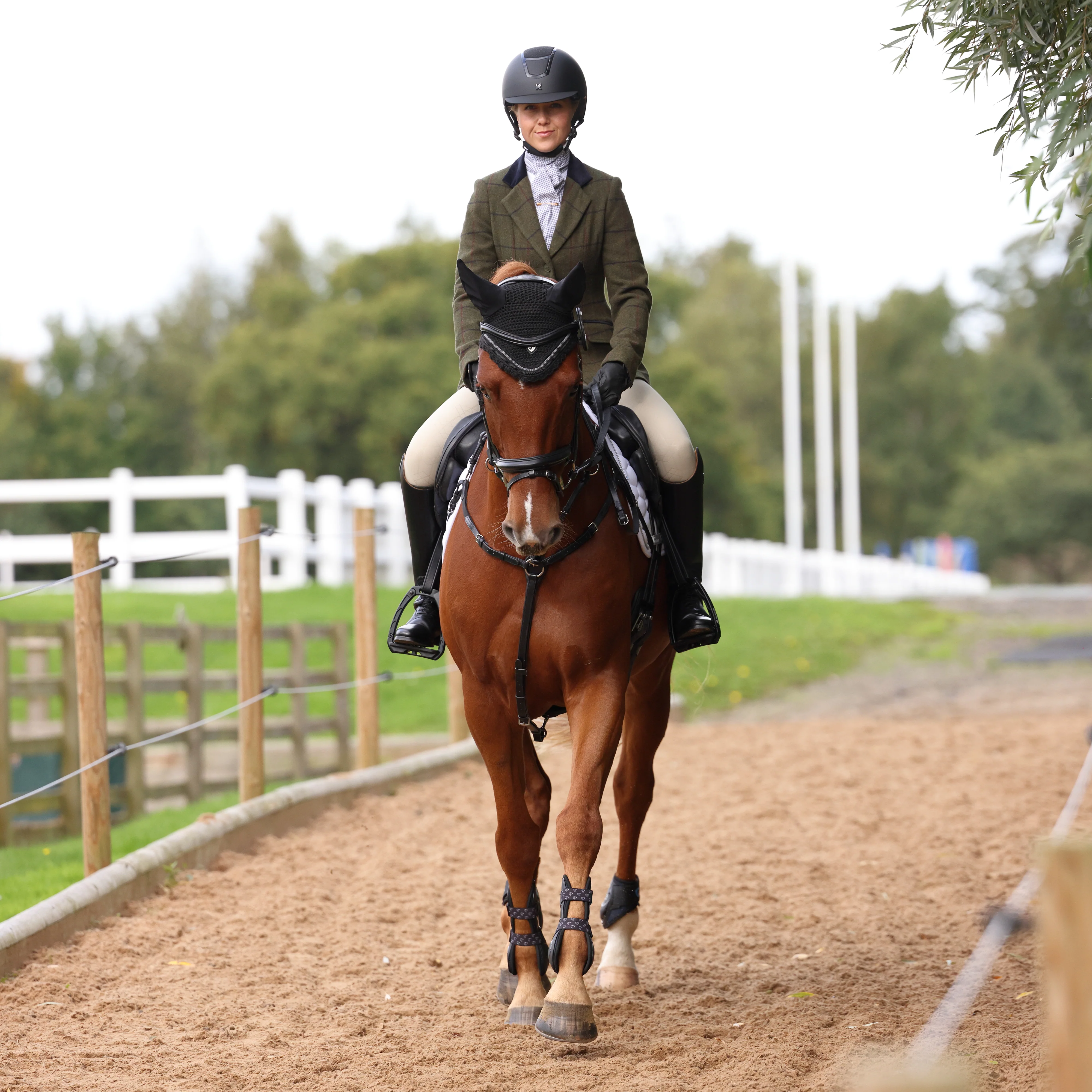 Shires Aubrion Saratoga Ladies Jacket - Image 30