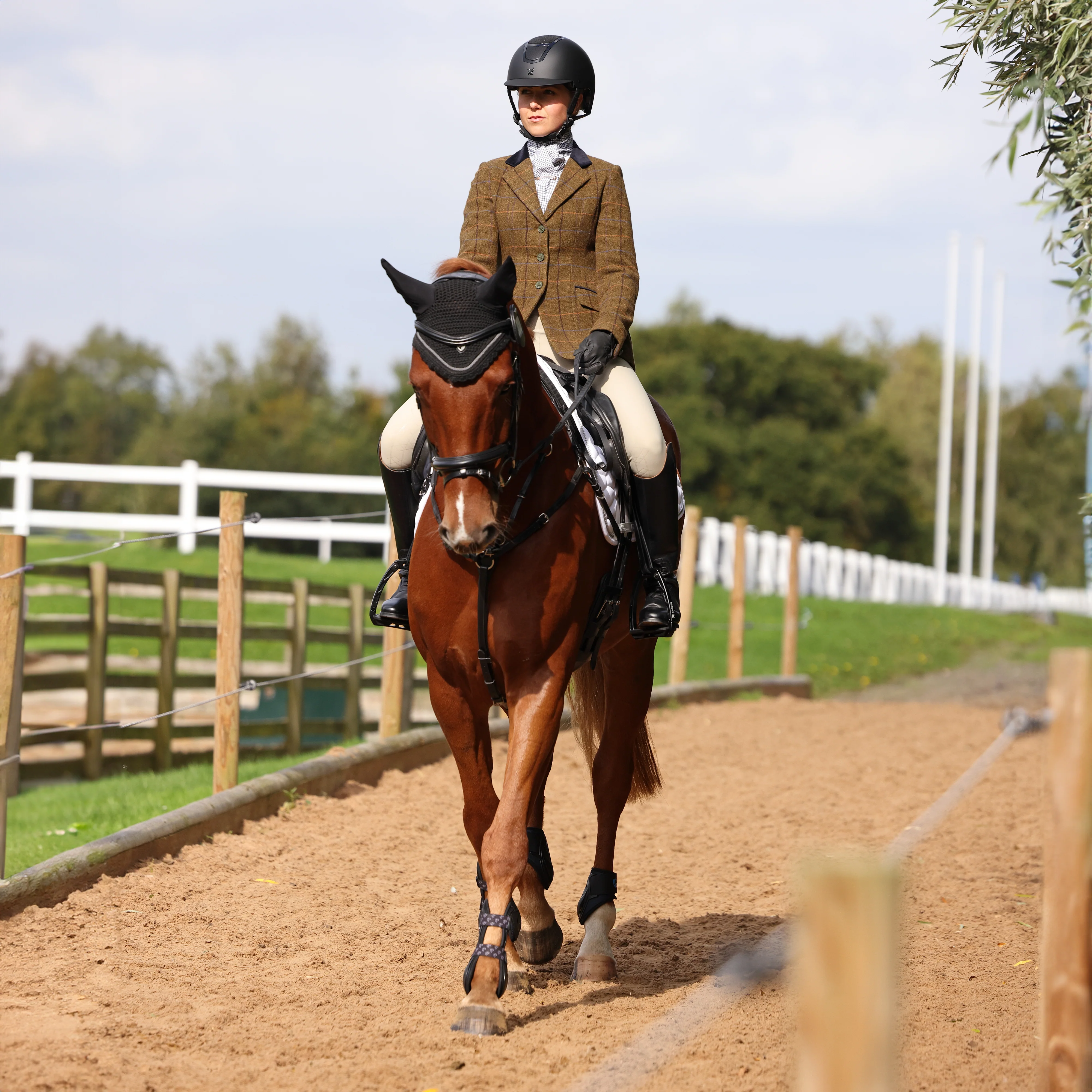 Shires Aubrion Saratoga Ladies Jacket - Image 43