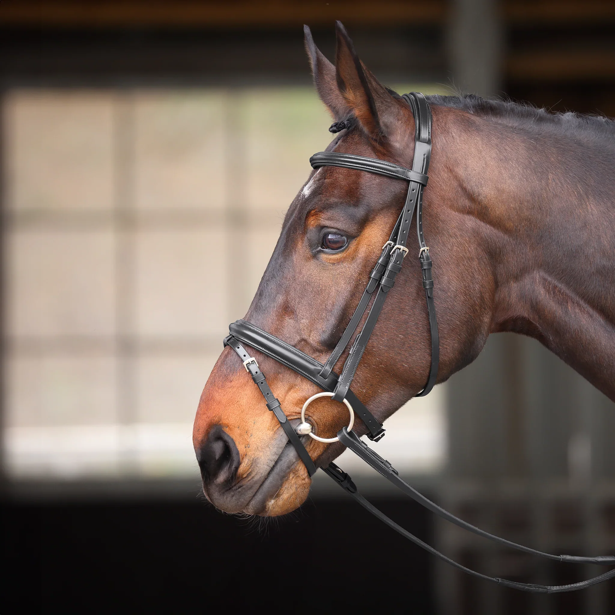 Shires Velociti GARA Comfort Fit Bridle - Image 2