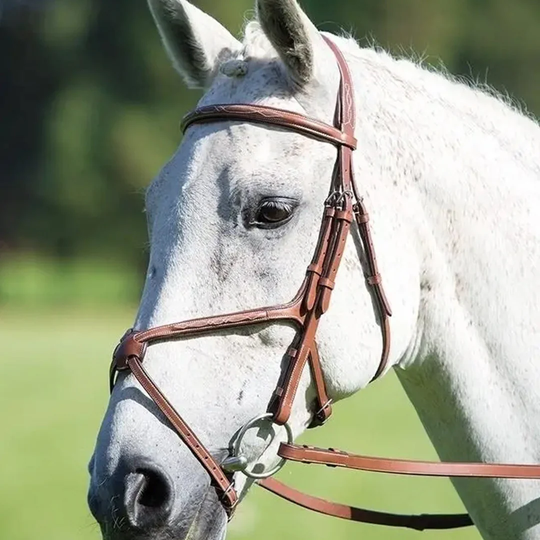 Shires Avignon Grackle Bridle - Image 2