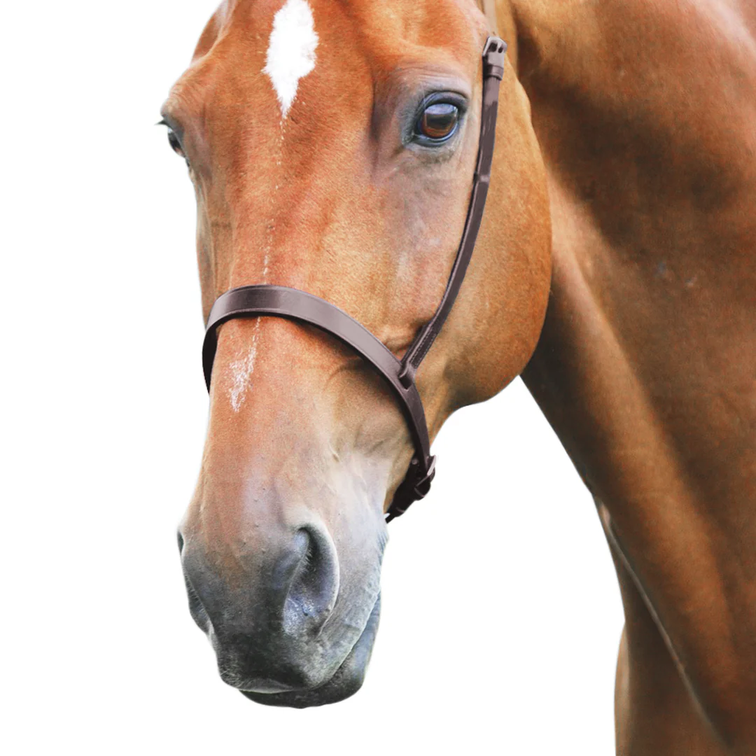 Shires Velociti GARA Cavesson Noseband - Image 2