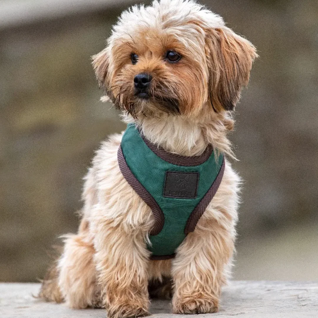 Shires Digby & Fox Heritage Harness - Image 2