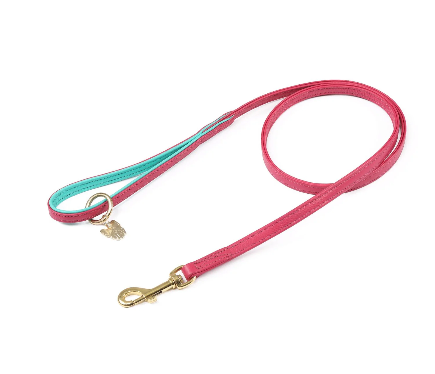 Shires Digby & Fox Padded Leather Dog Lead - Image 2
