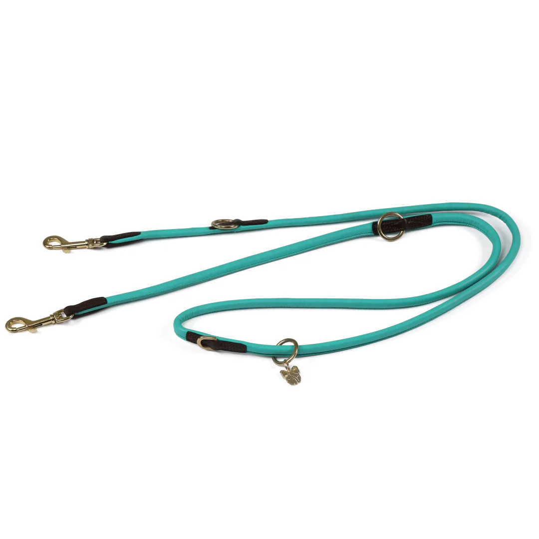 Shires Digby & Fox Rolled Leather Training Lead - Image 12