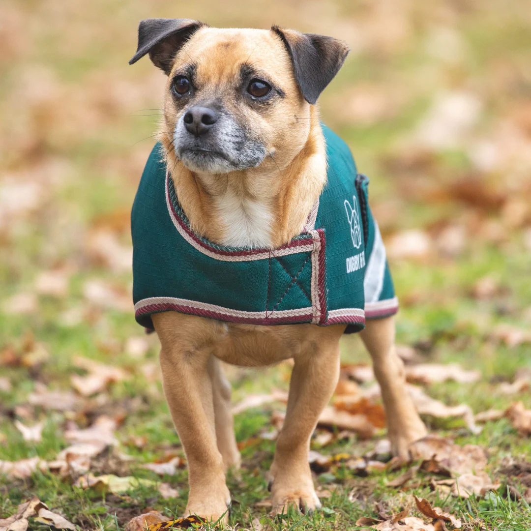 Shires Digby & Fox Waterproof Dog Coat - Image 3