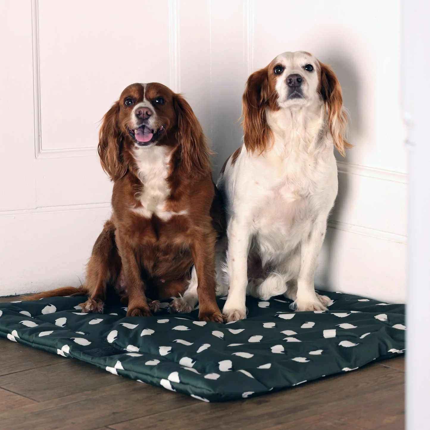 Shires Digby & Fox Waterproof Padded Dog Bed - Image 10