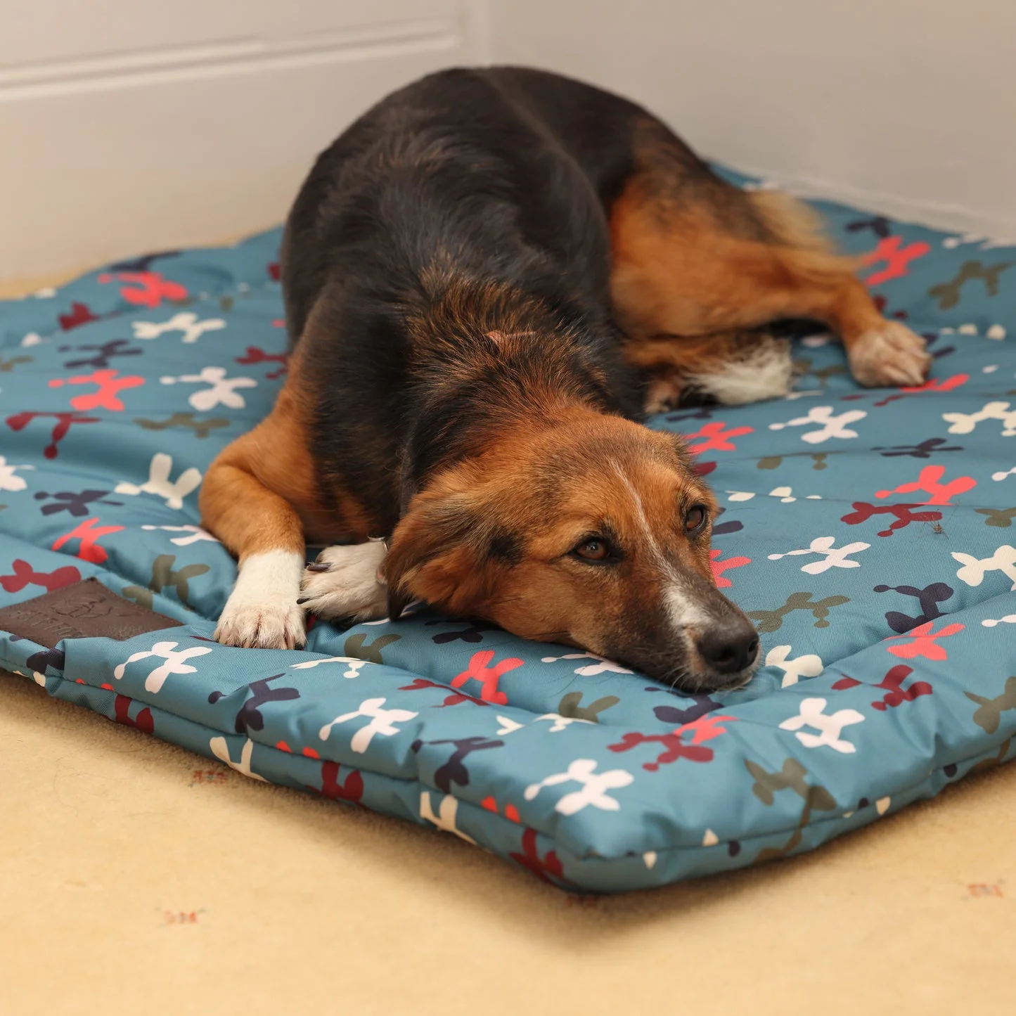 Shires Digby & Fox Waterproof Padded Dog Bed - Image 2
