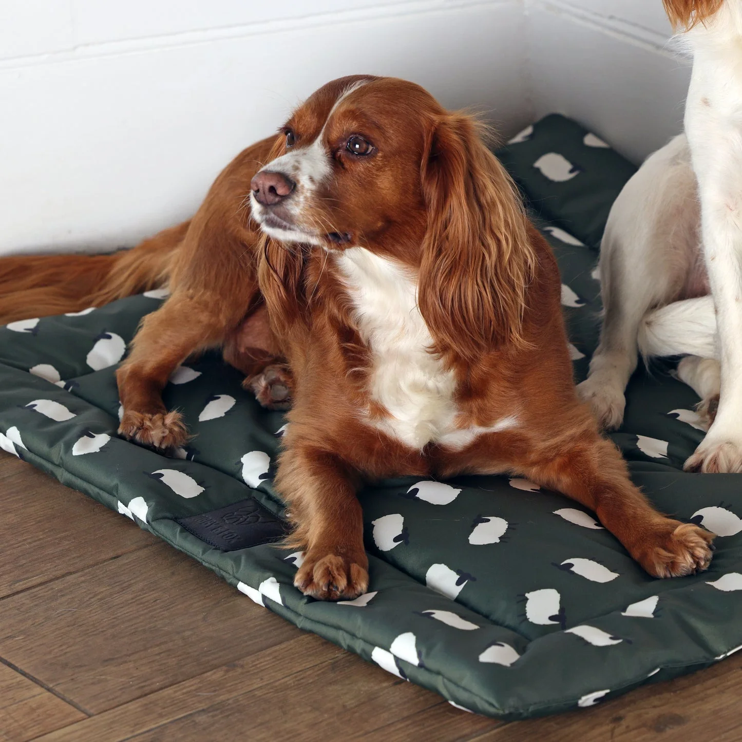 Shires Digby & Fox Waterproof Padded Dog Bed - Image 8