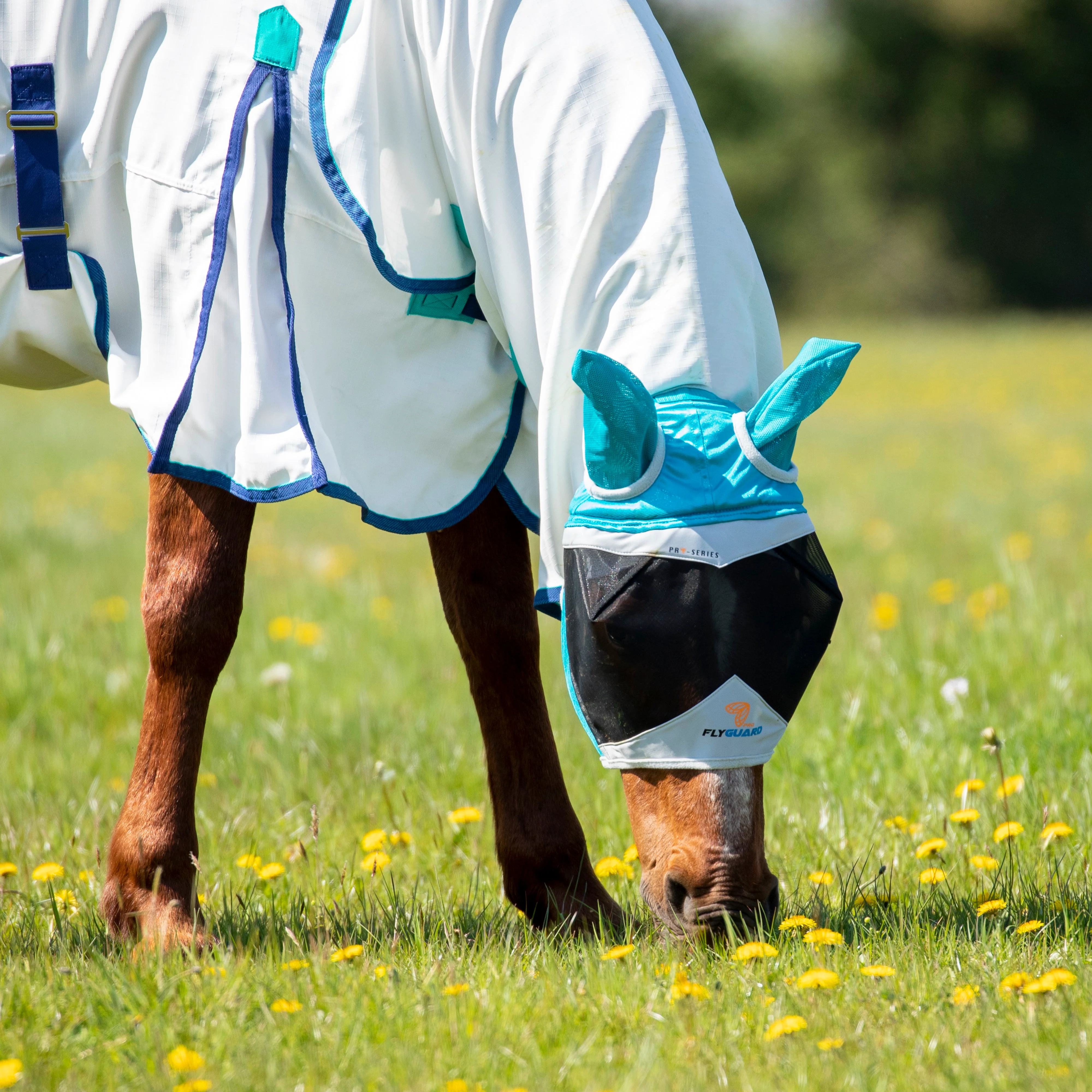 Shires FlyGuard Pro Fine Mesh Fly Mask With Ears - Image 7