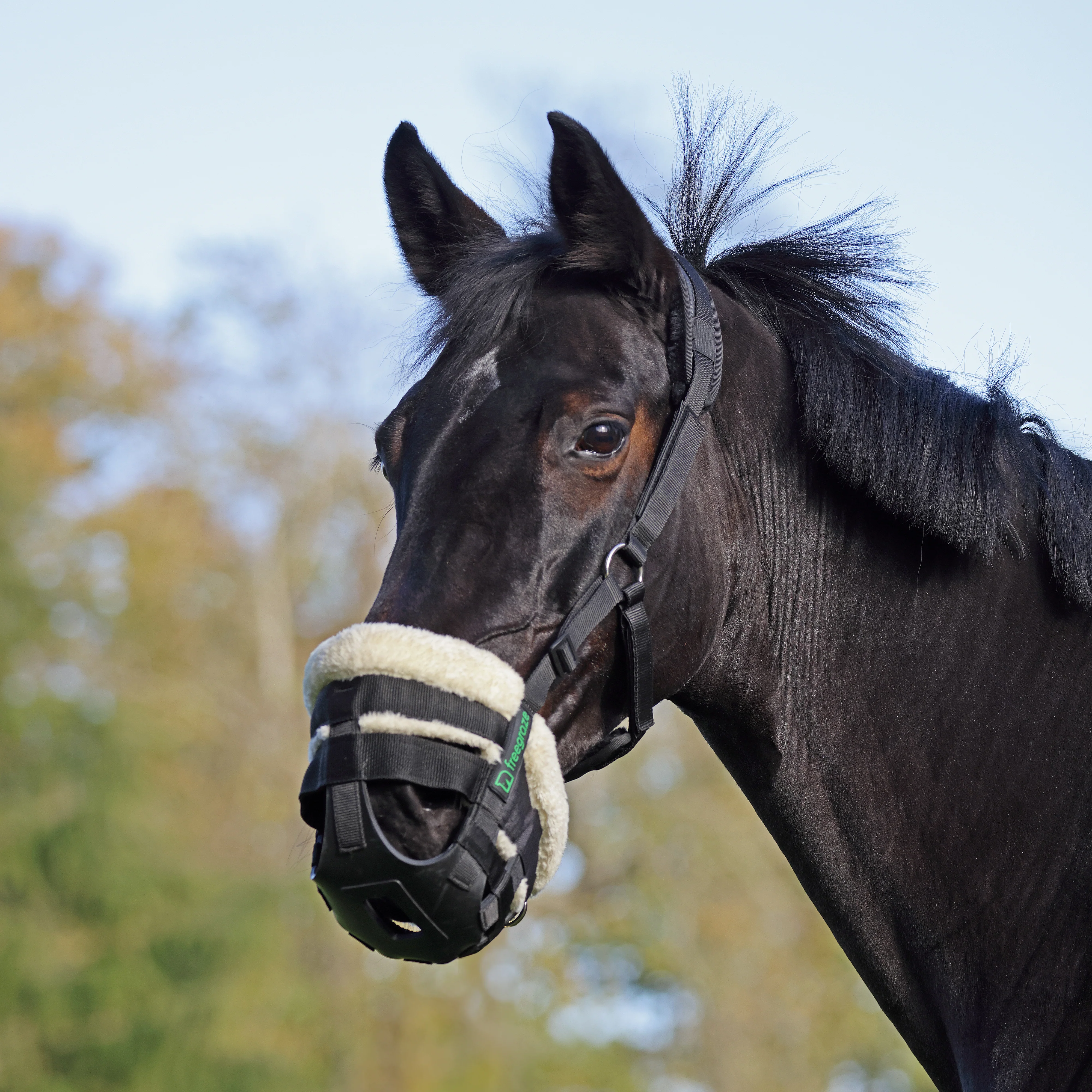 Shires FreeGraze Deluxe AirFlow Grazing Muzzle - Image 5