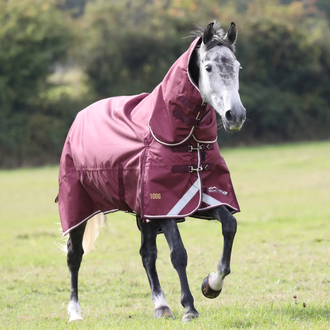 Shires Highlander Plus 100g Combo Turnout Rug - Image 2