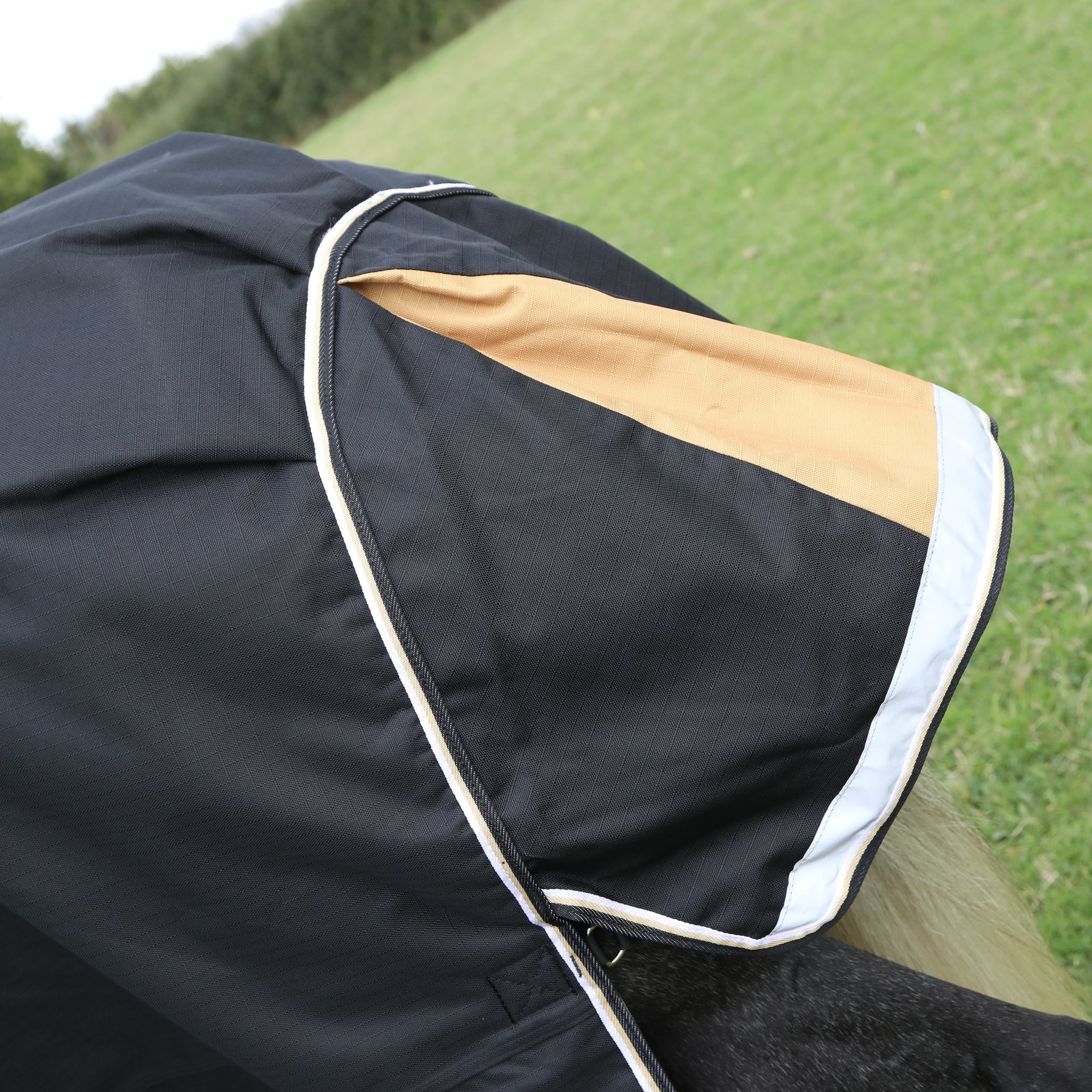Shires Highlander Plus 200 Turnout Rug & Neck Set - Image 4