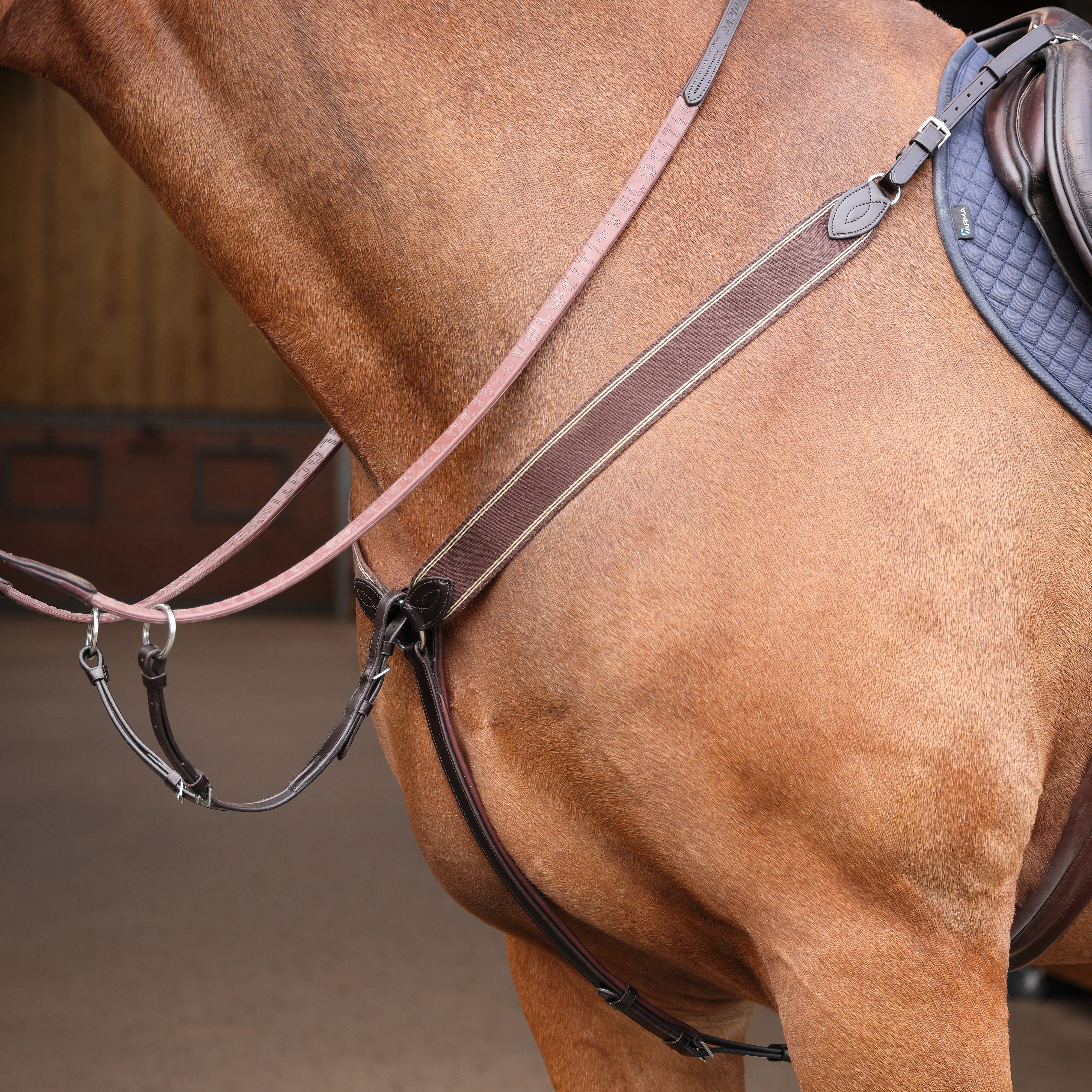 Shires Lusso Three Point Elastic Breastplate - Image 16