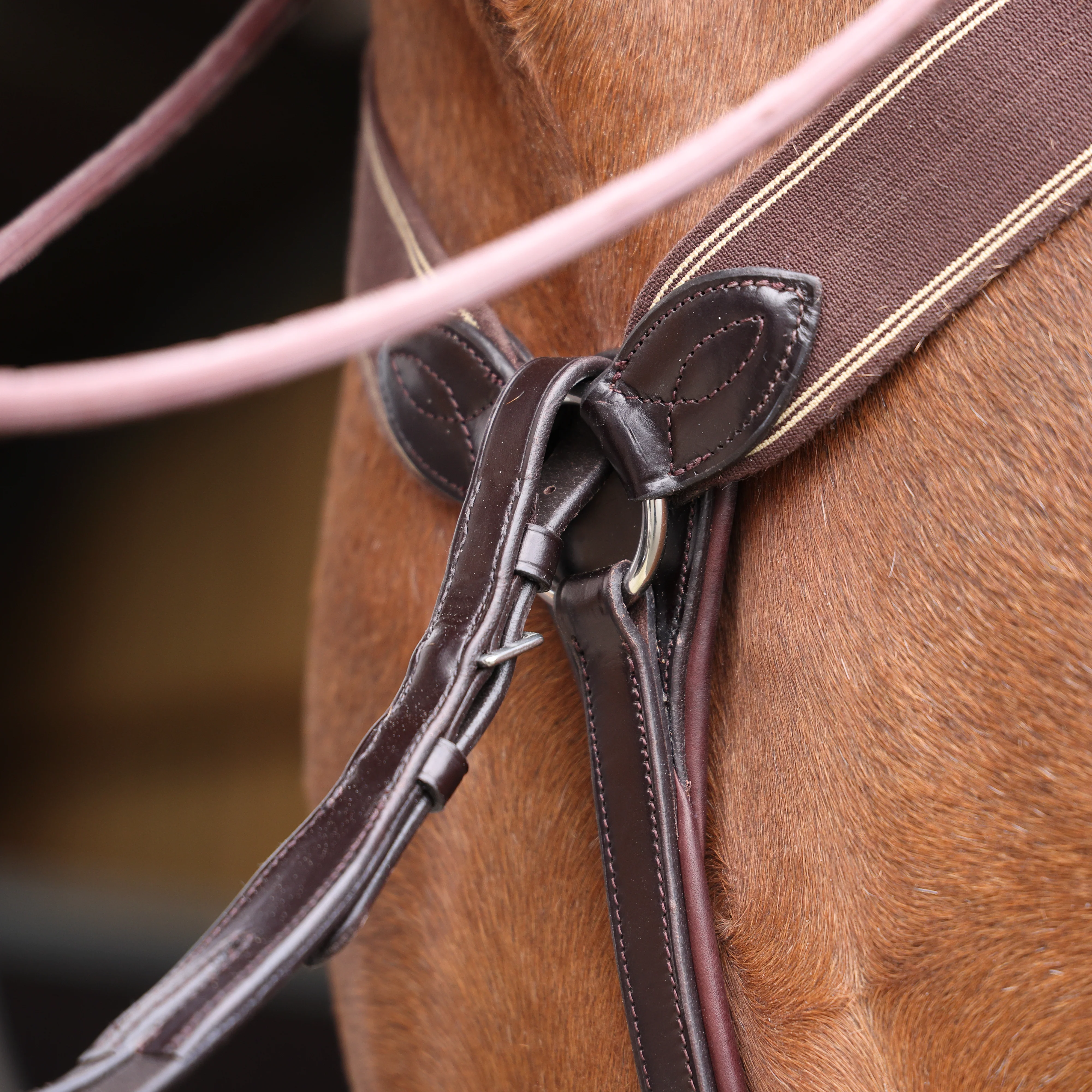 Shires Lusso Three Point Elastic Breastplate - Image 20
