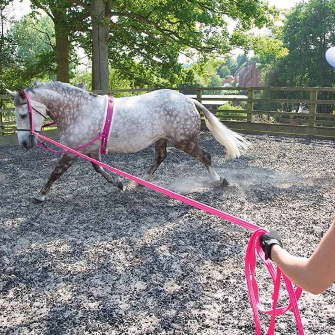 Shires Nylon Roller With Fleece Padding - Image 2