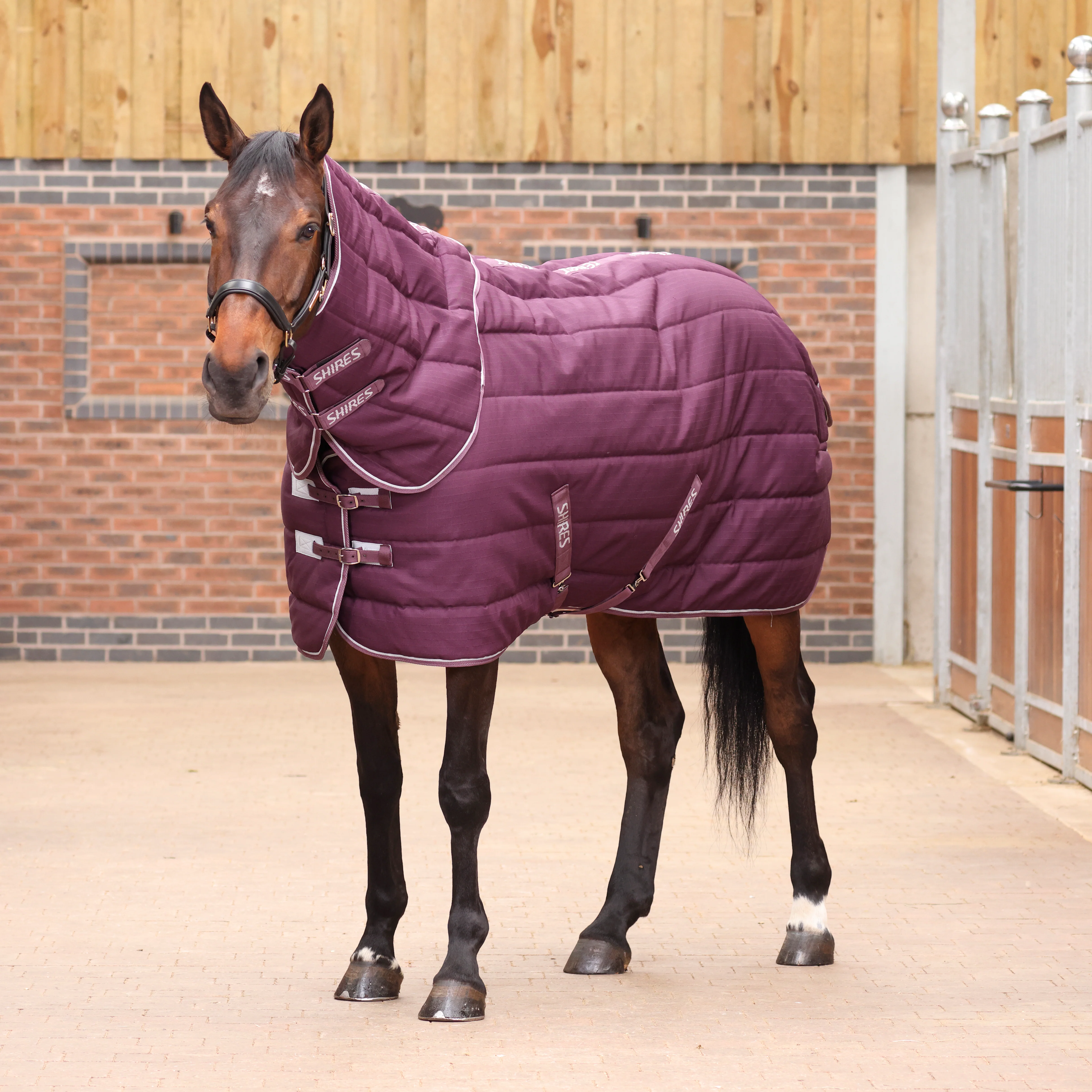 Shires Tempest Original 300 Stable Rug & Neck Set - Image 2