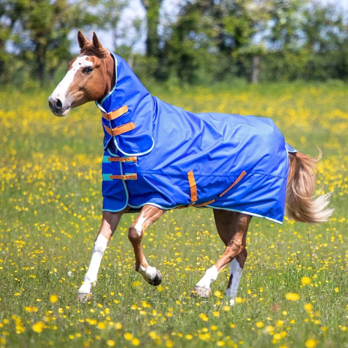 Shires Tempest Original 50g Combo Turnout Rug - Image 2