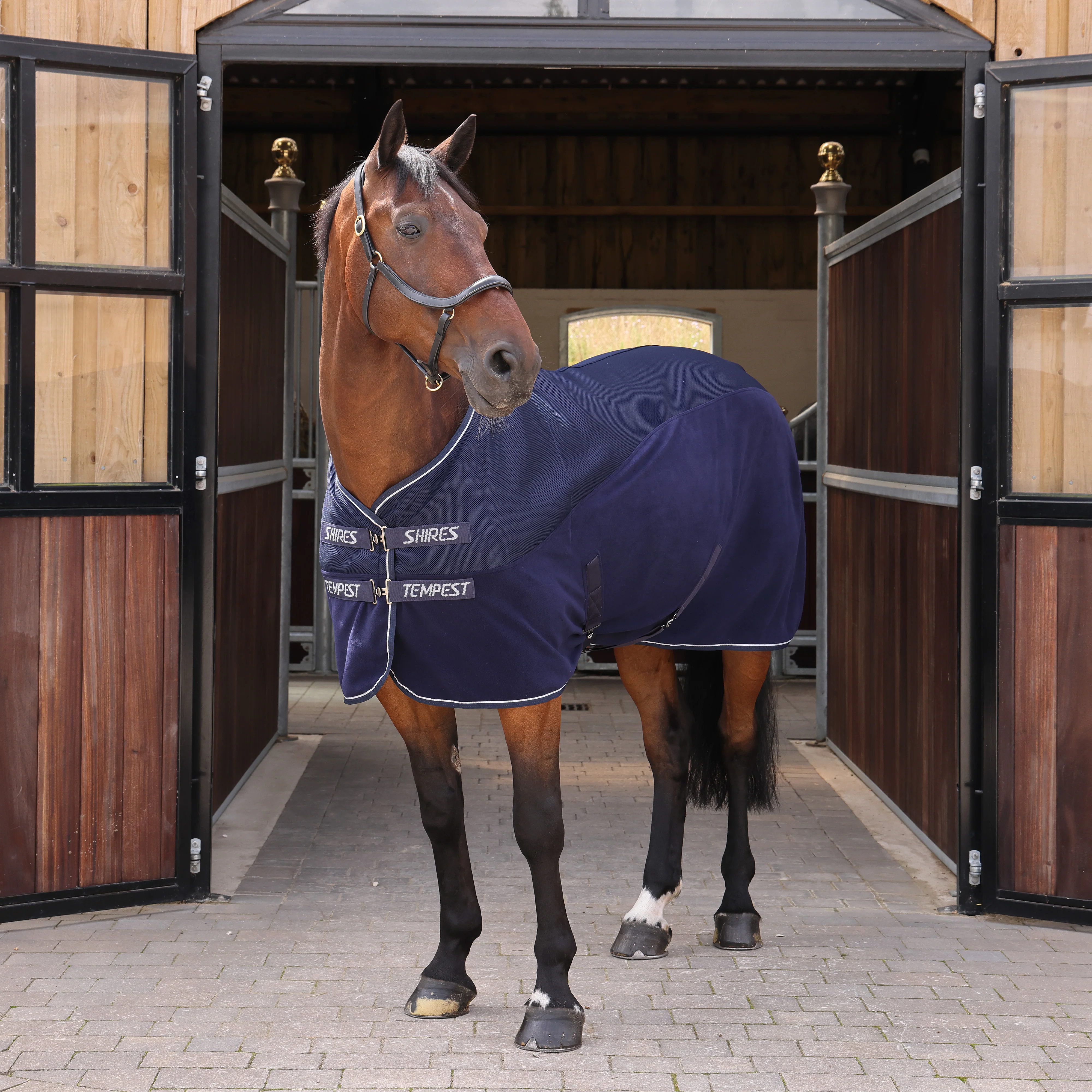 Shires Tempest Original Air Motion Cooler
