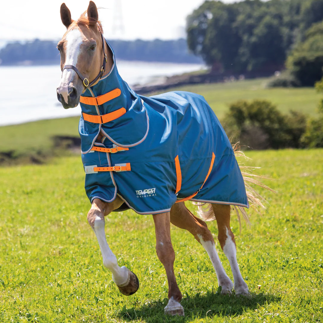 Shires Tempest Original Lite Turnout Rug with Detachable Neck - Image 2