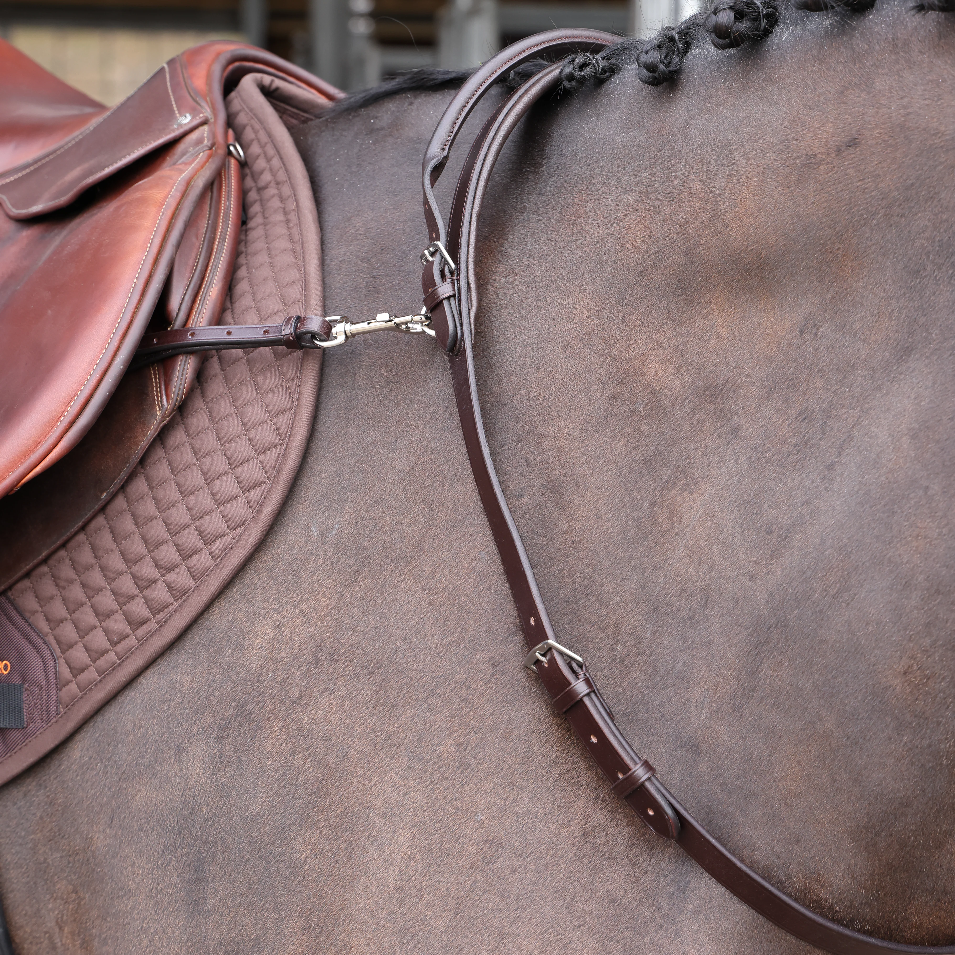 Shires Velociti GARA Neck Strap with Handle - Image 3