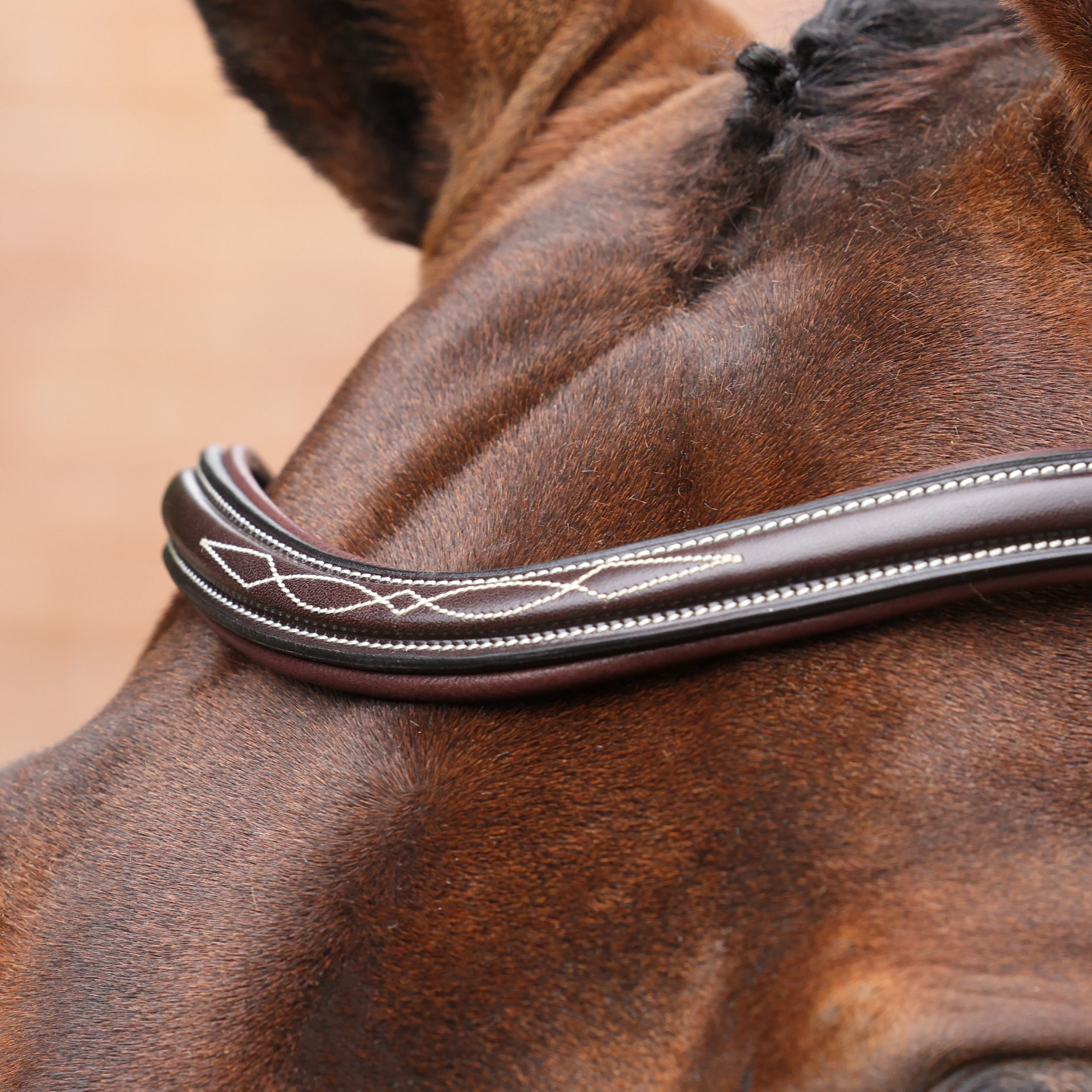 Shires Velociti LUSSO Opus 180M Dressage Cavesson Bridle - Image 10