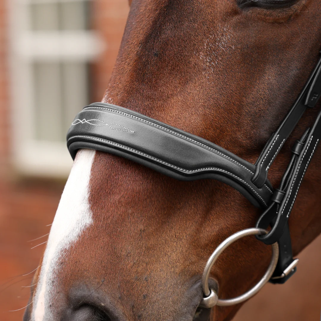 Shires Velociti LUSSO Opus 180M Dressage Cavesson Bridle - Image 2