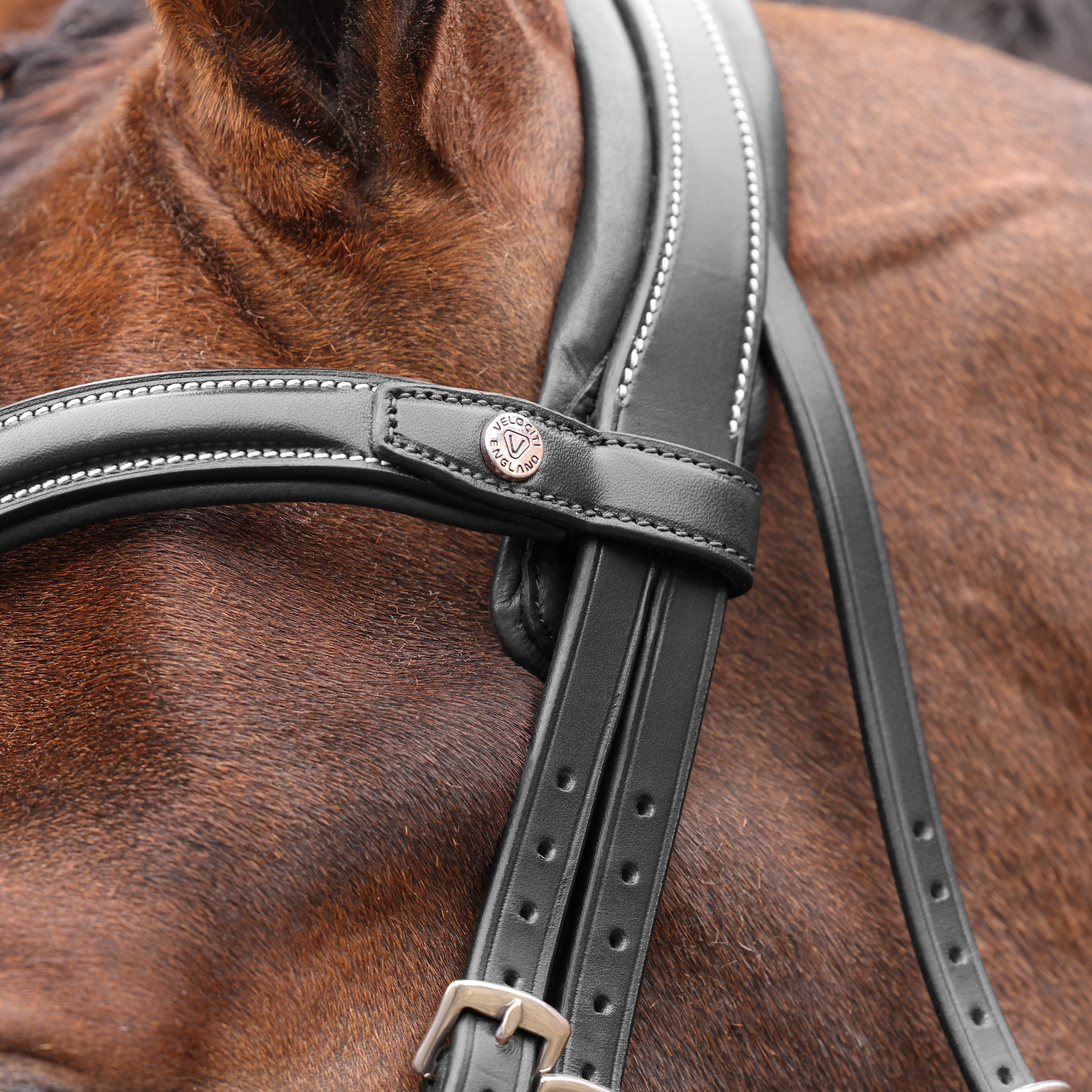 Shires Velociti LUSSO Opus 180M Dressage Flash Bridle - Image 4