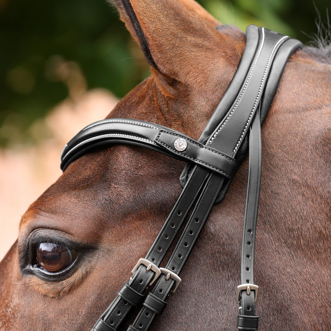 Shires Velociti LUSSO Opus 180M Ergonomic Flash Bridle - Image 6