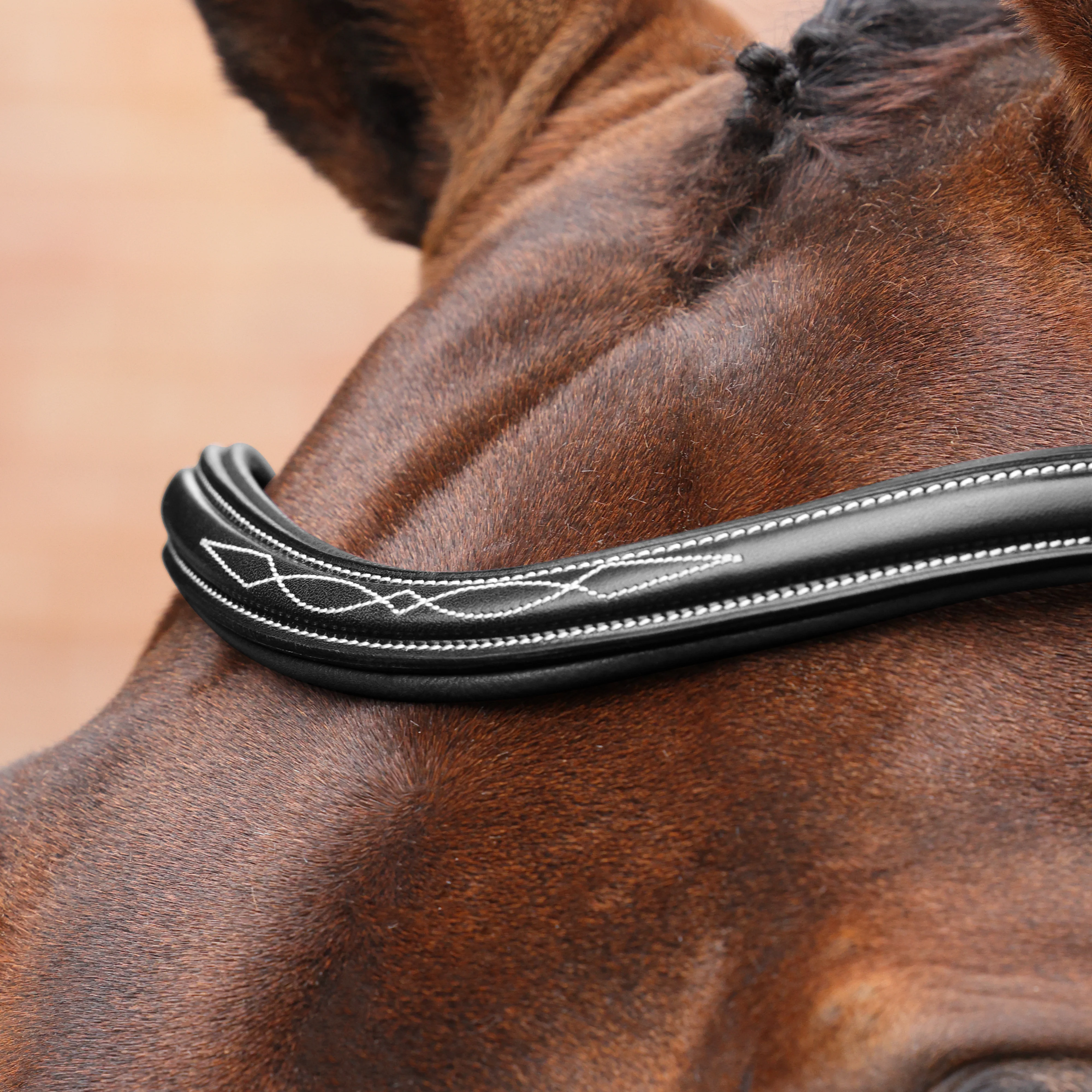 Shires Velociti LUSSO Opus 180M Padded Flash Bridle - Image 3