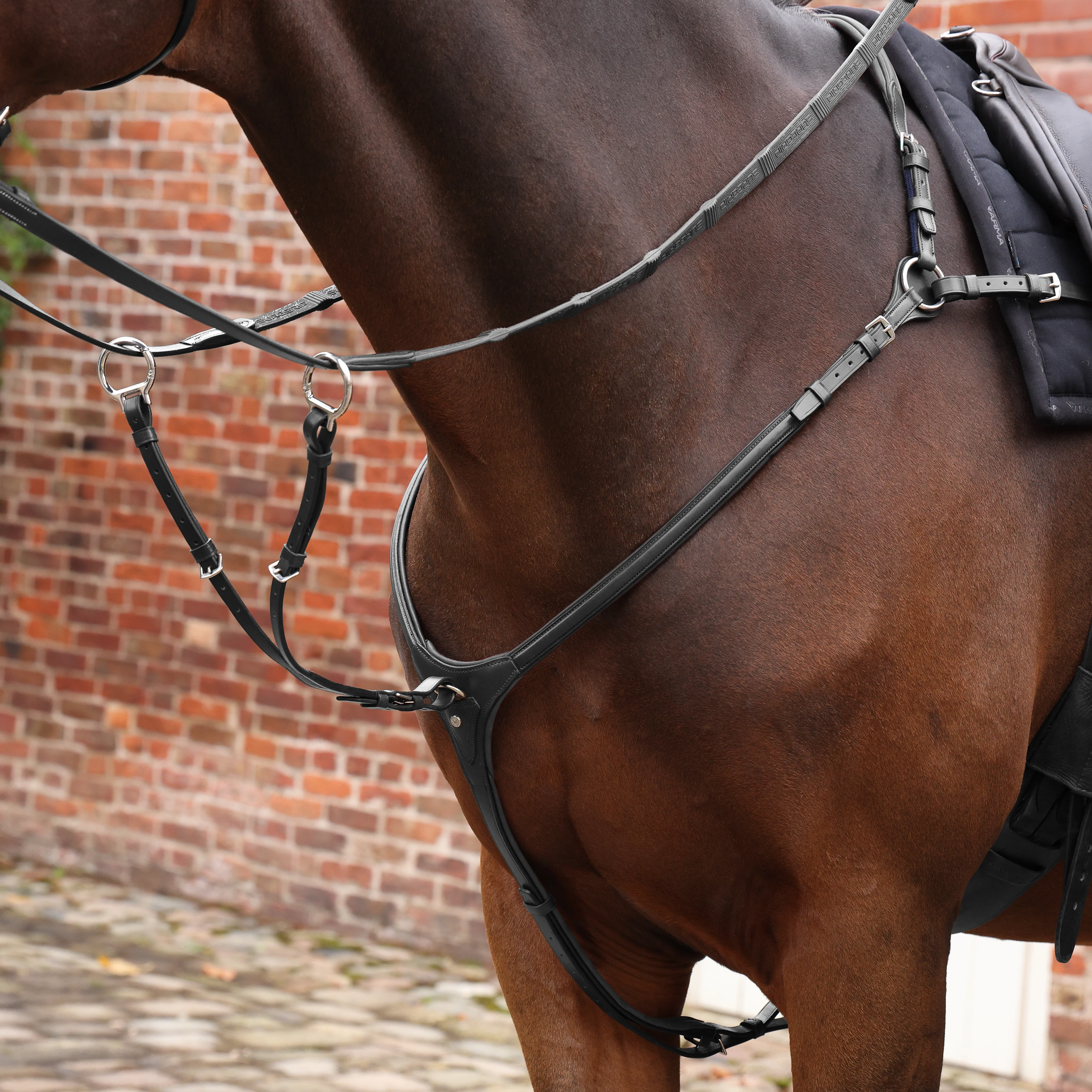 Shires Velociti LUSSO Opus Close Contact Breastplate