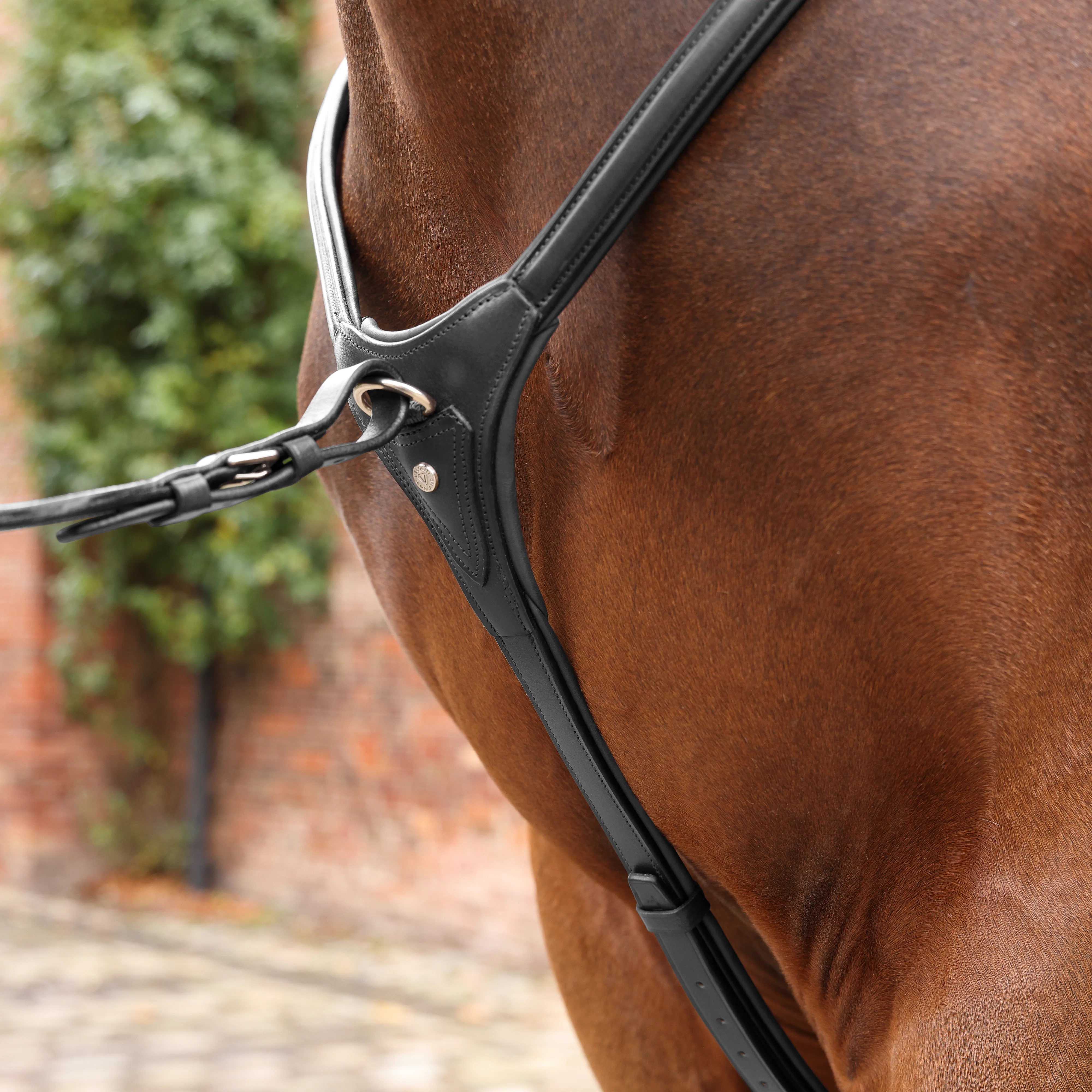 Shires Velociti LUSSO Opus Close Contact Breastplate - Image 5