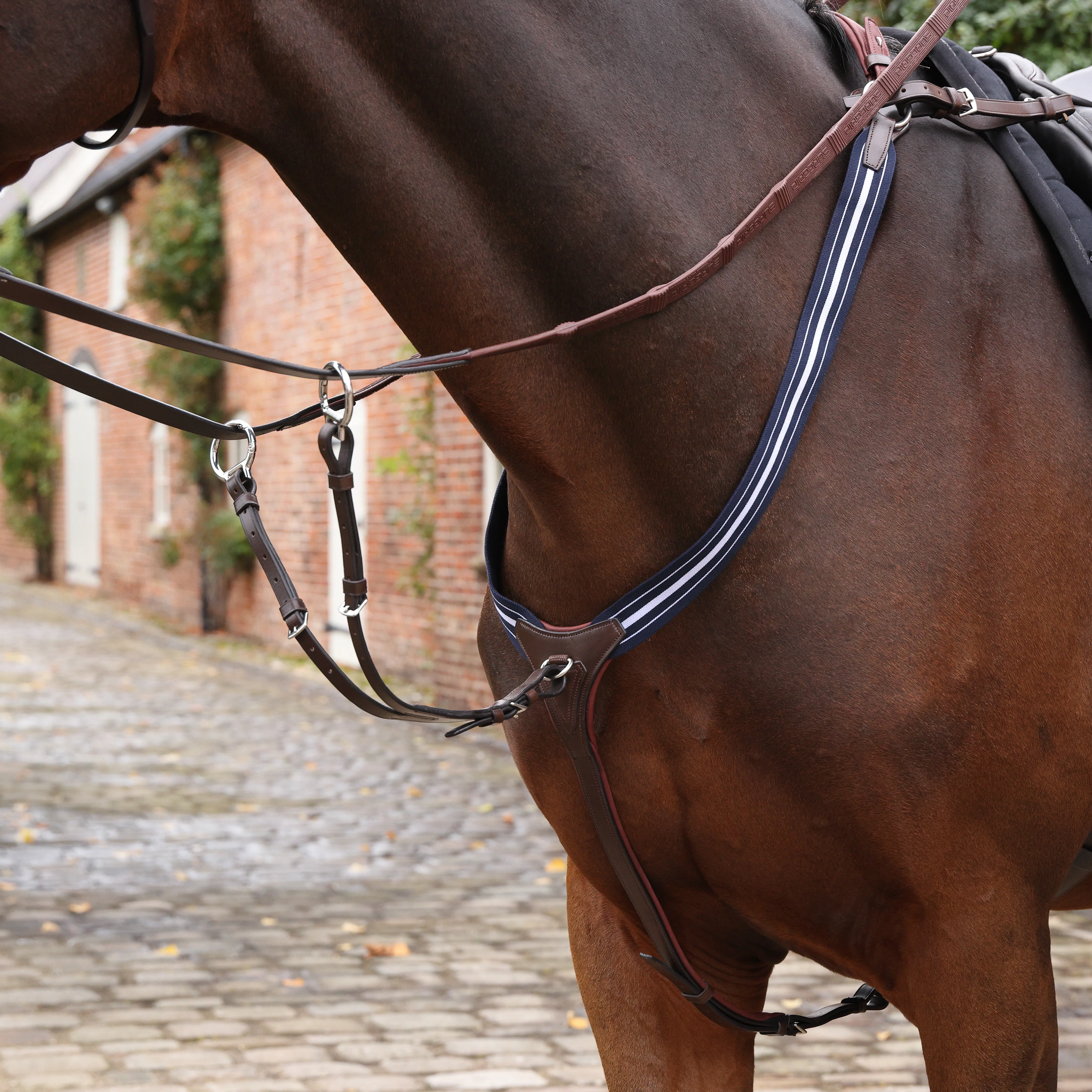 Shires Velociti LUSSO Opus Elastic Breastplate - Image 7