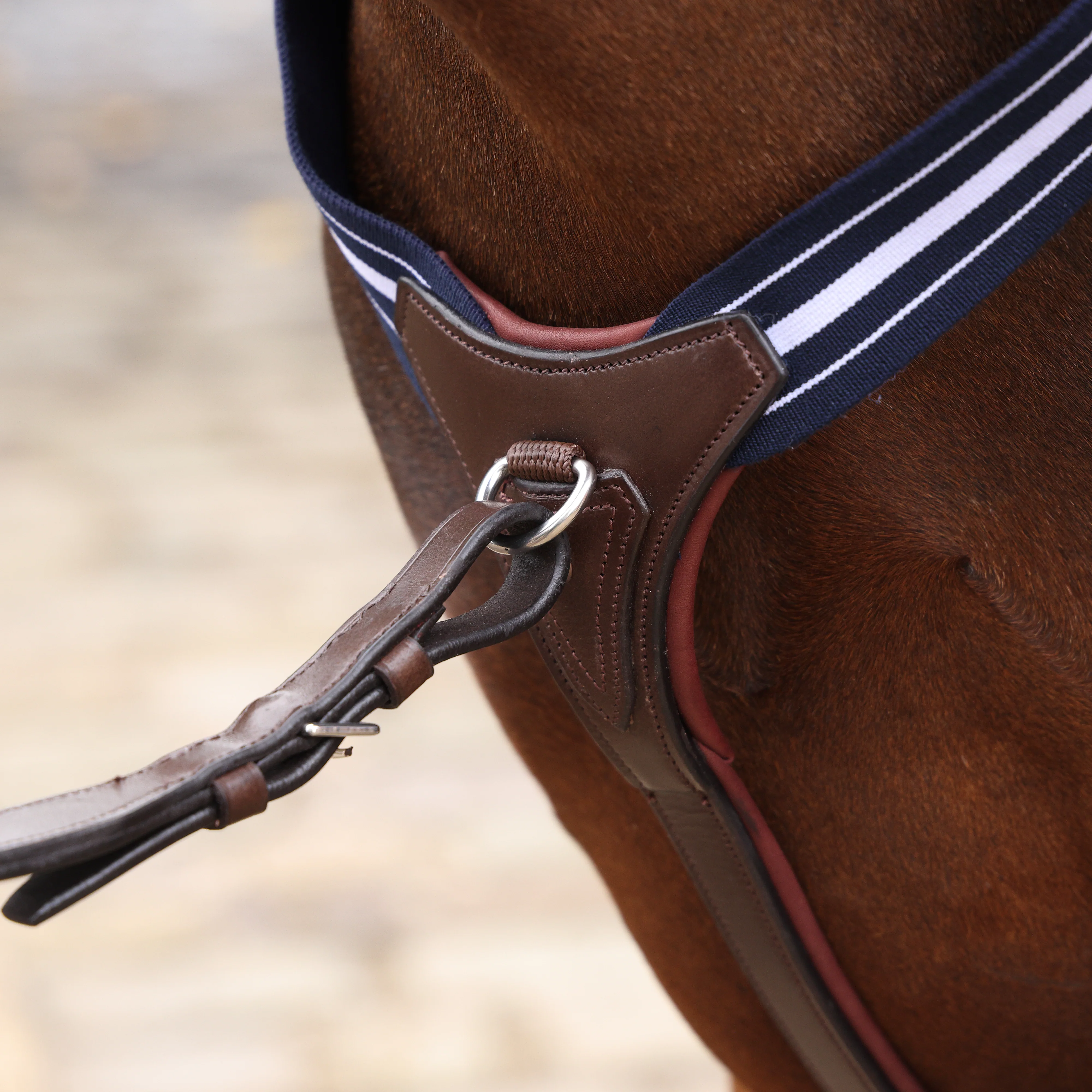 Shires Velociti LUSSO Opus Elastic Breastplate - Image 8