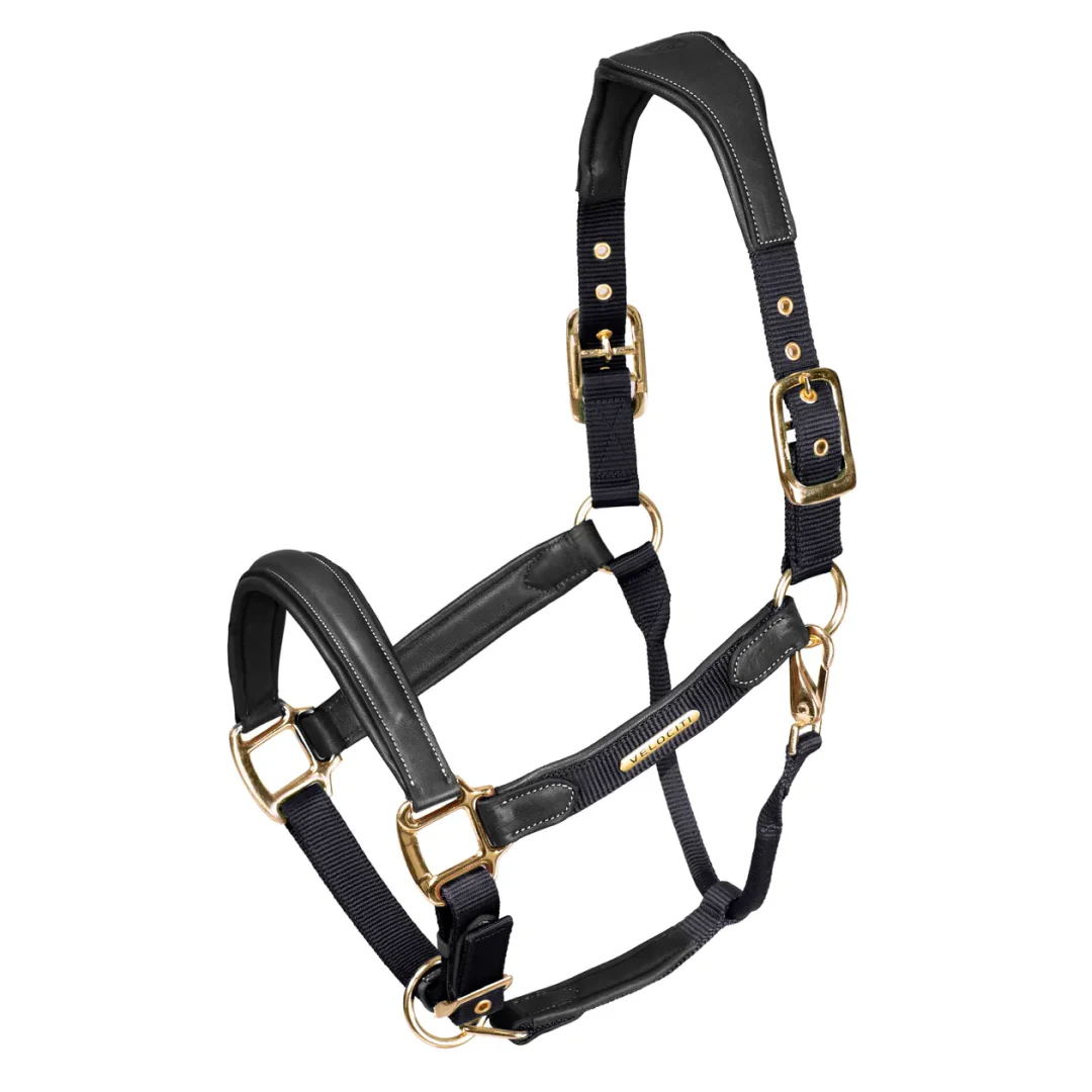 Shires Velociti Lusso Padded Leather Headcollar