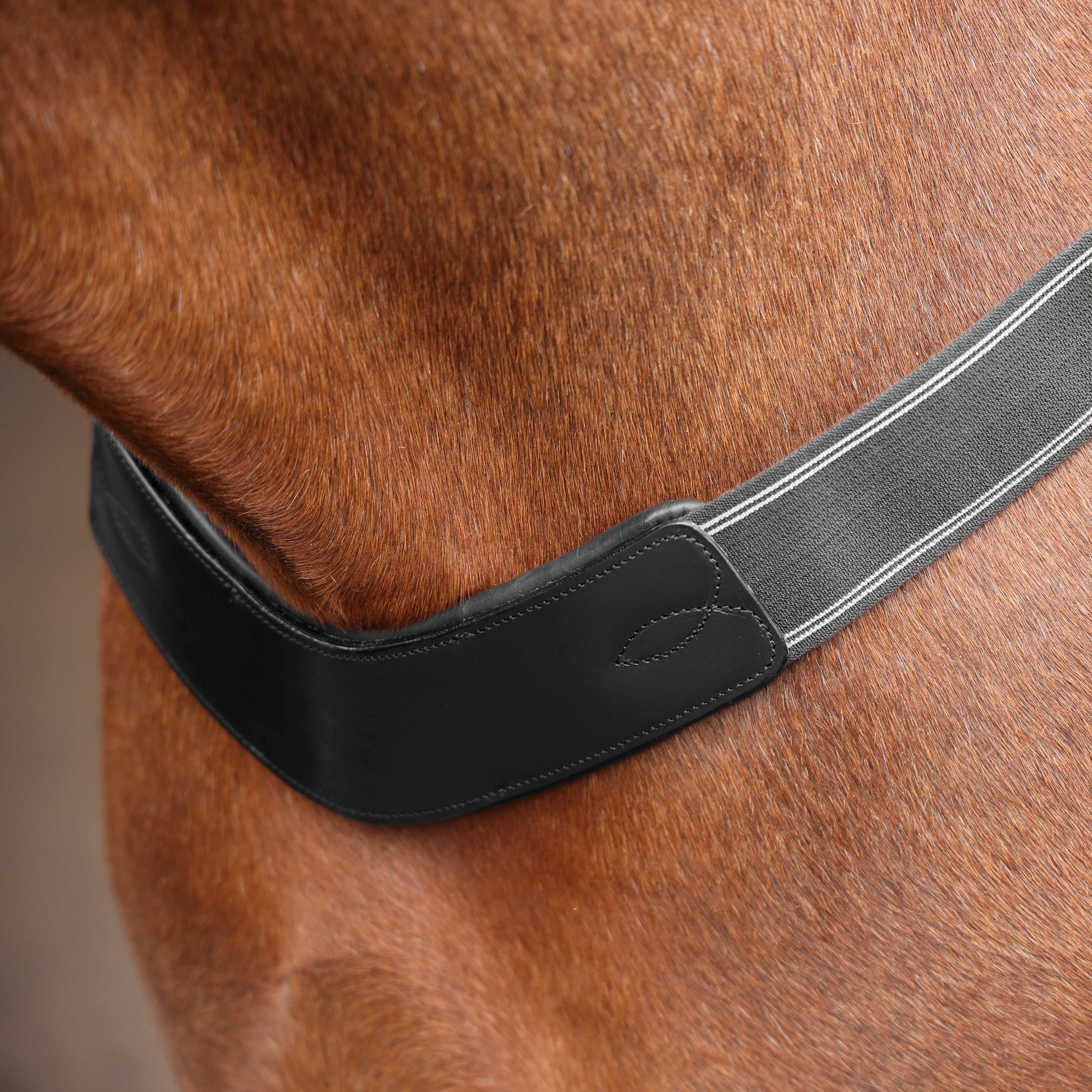Shires Velociti Rapida Elastic Breastgirth - Image 5
