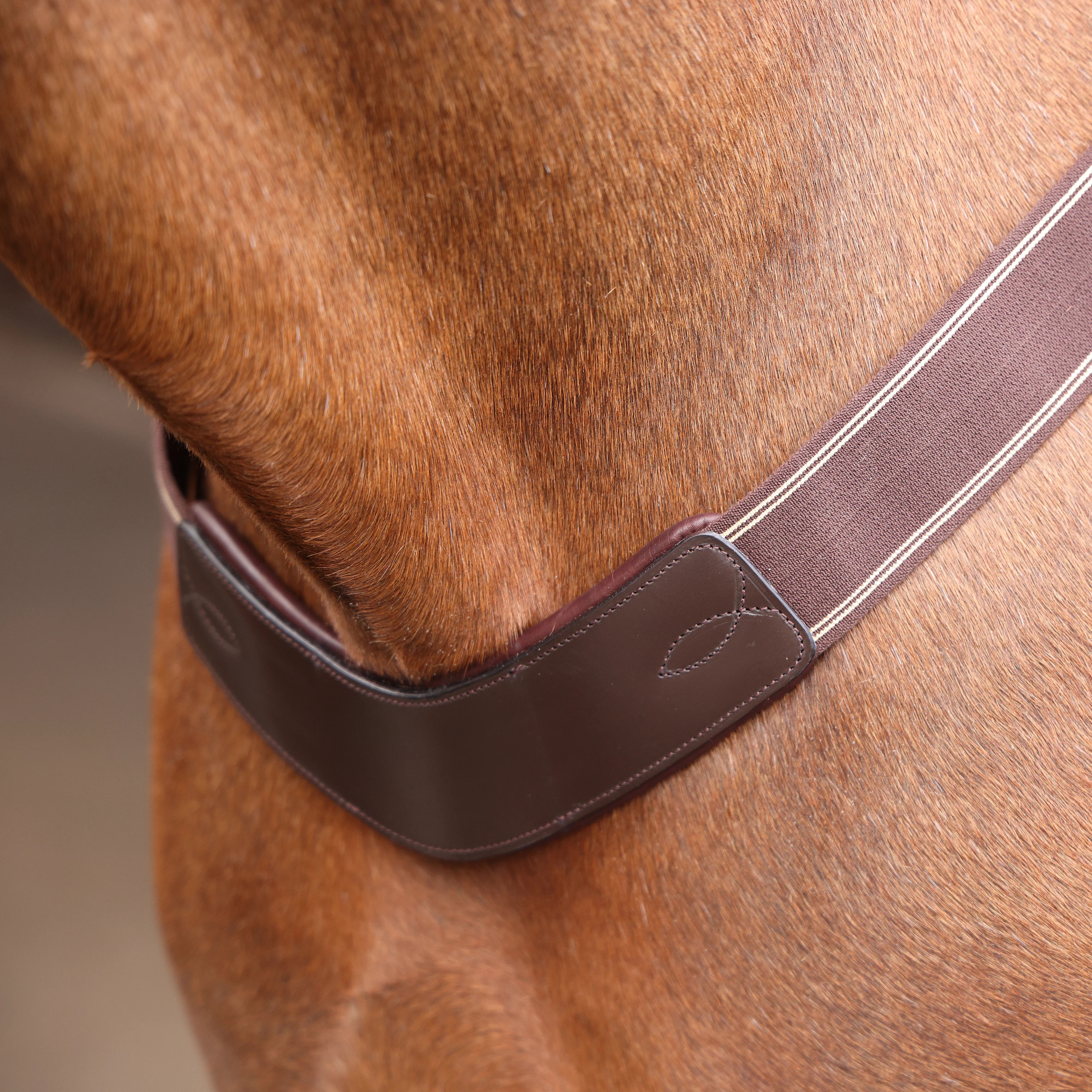 Shires Velociti Rapida Elastic Breastgirth - Image 7
