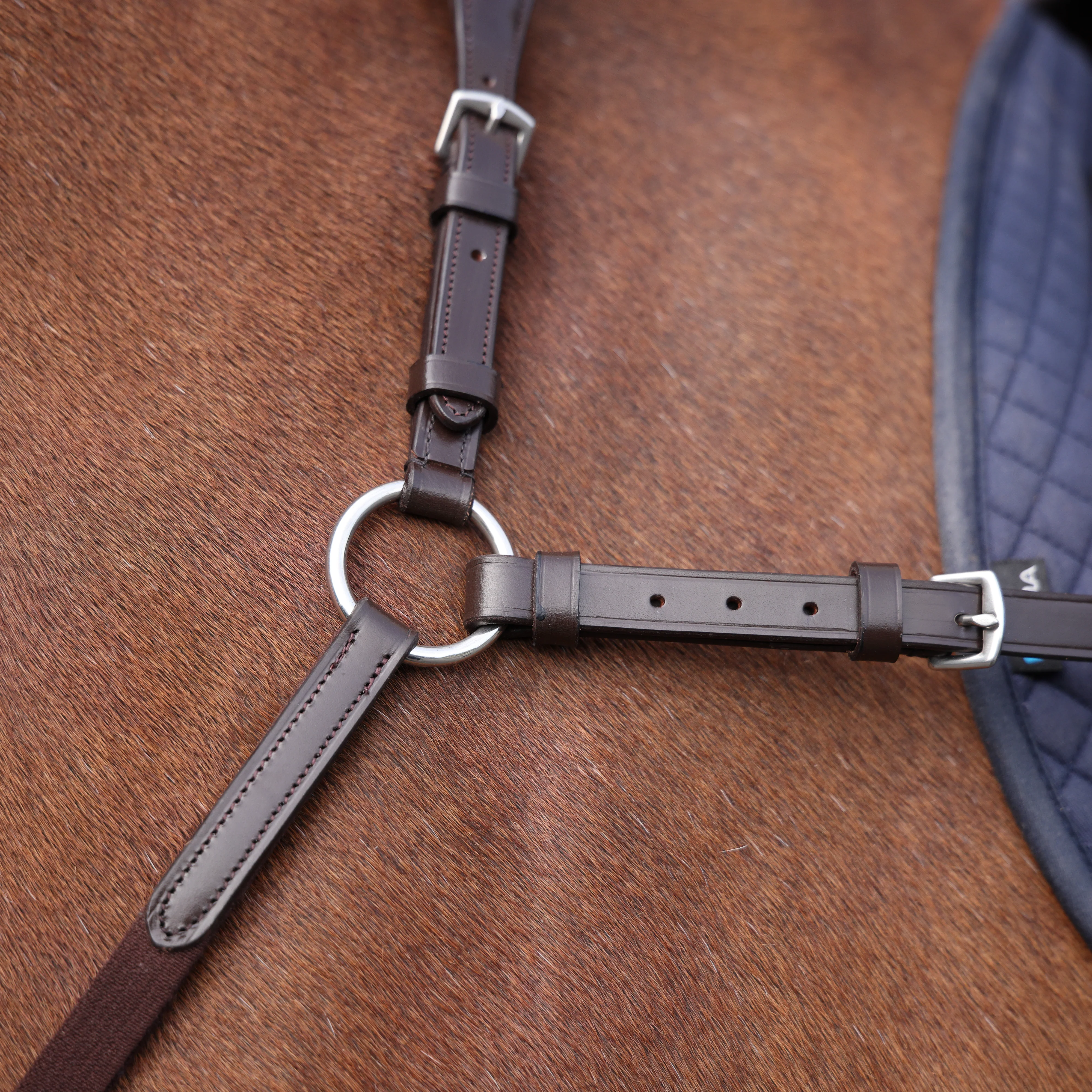 Shires Velociti Rapida Elastic Breastplate - Image 16