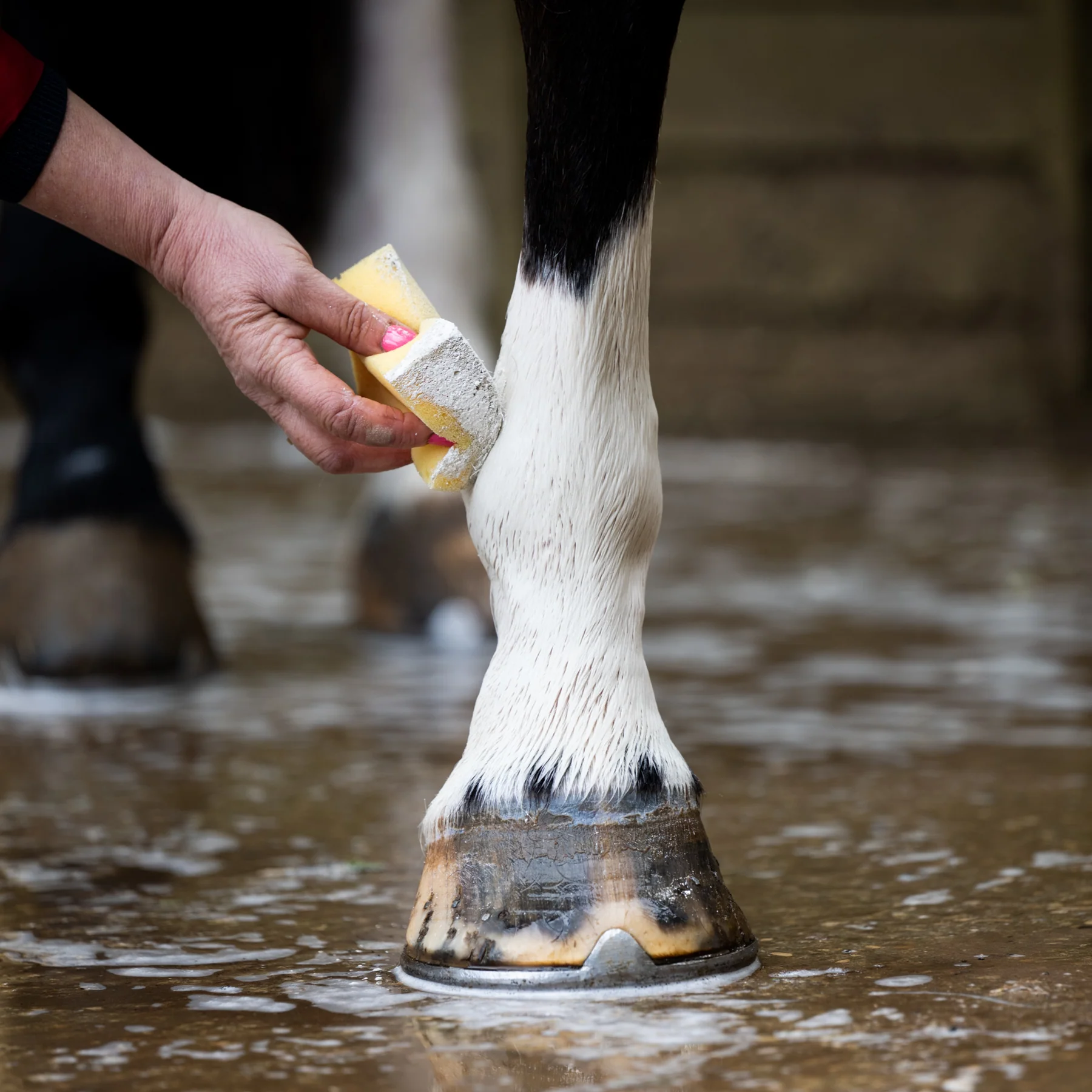Smart Grooming Leg & Body Whitener - Image 4