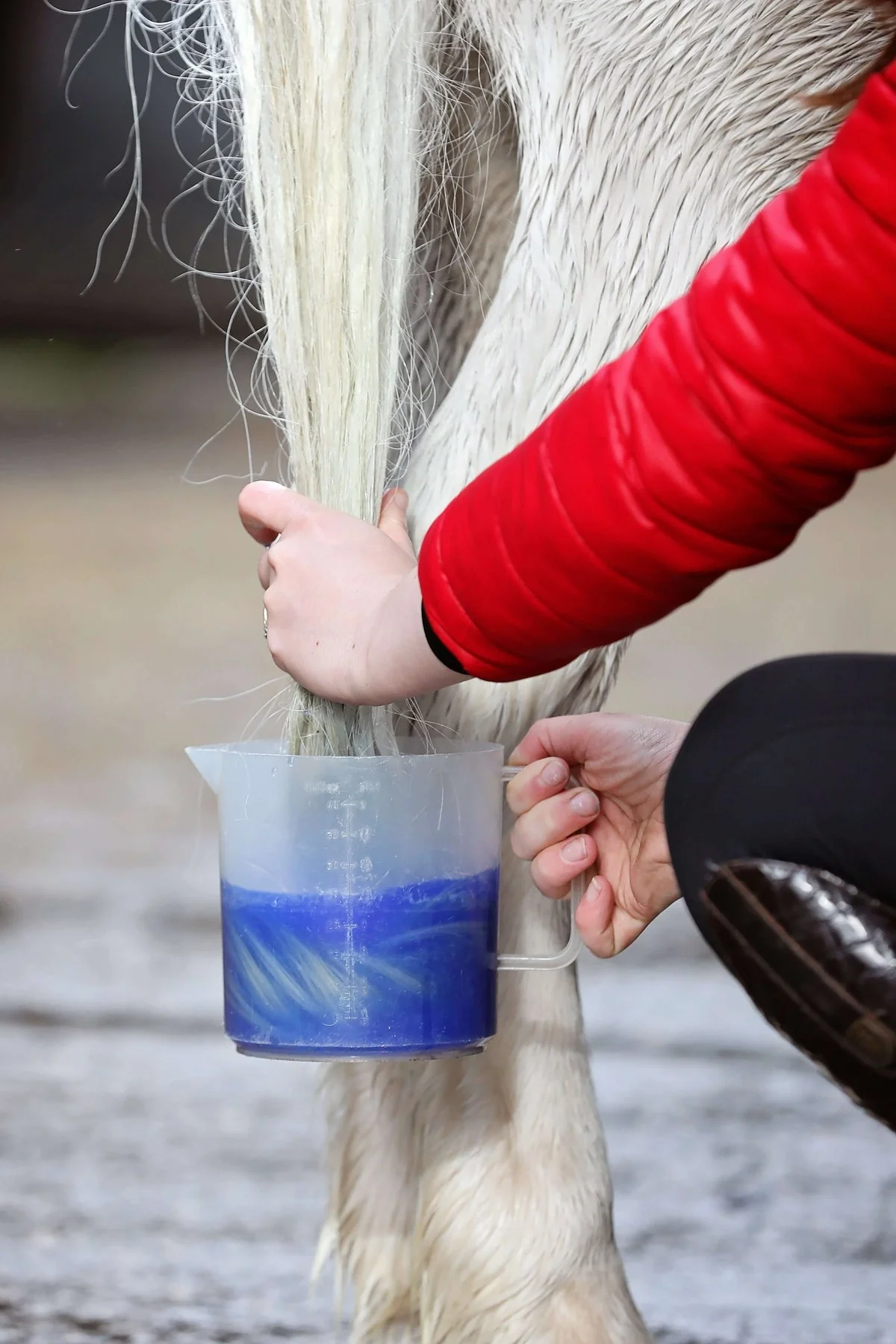 Smart Grooming Super Blue Whitening Powder - Image 3