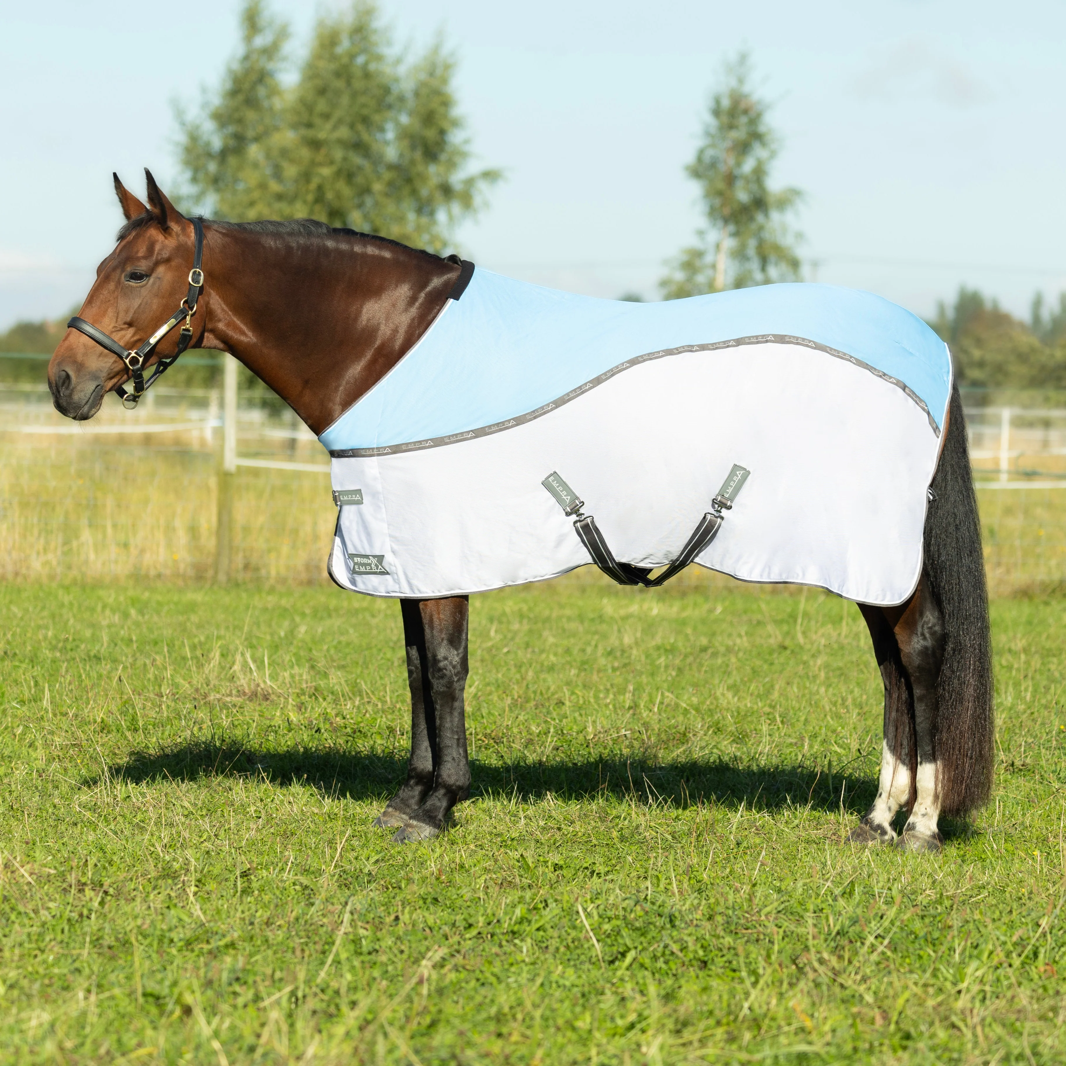 StormX Empra MeshX Flow Cooler Rug