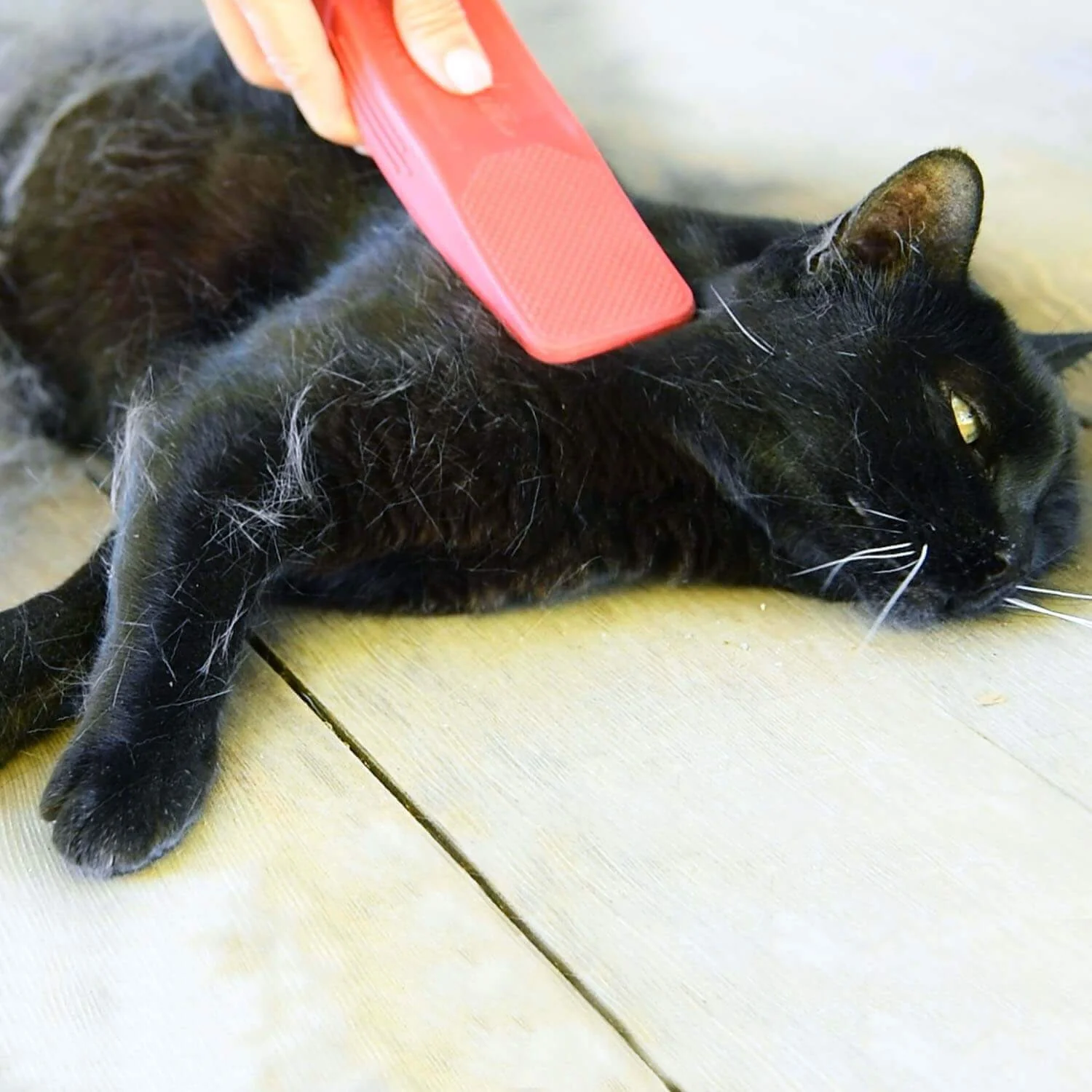 StripHair Gentle Groomer - Image 7
