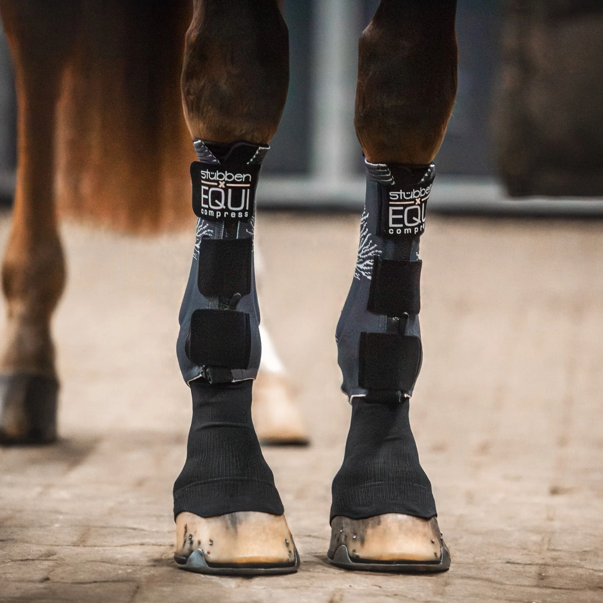 Stubben EQUI Compress Set Front Legs - Image 5