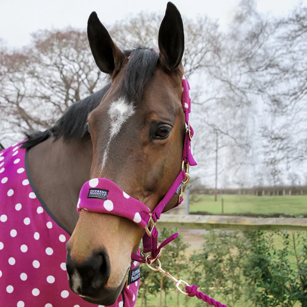 Supreme Products Dotty Fleece Head Collar & Lead Rope - Image 6